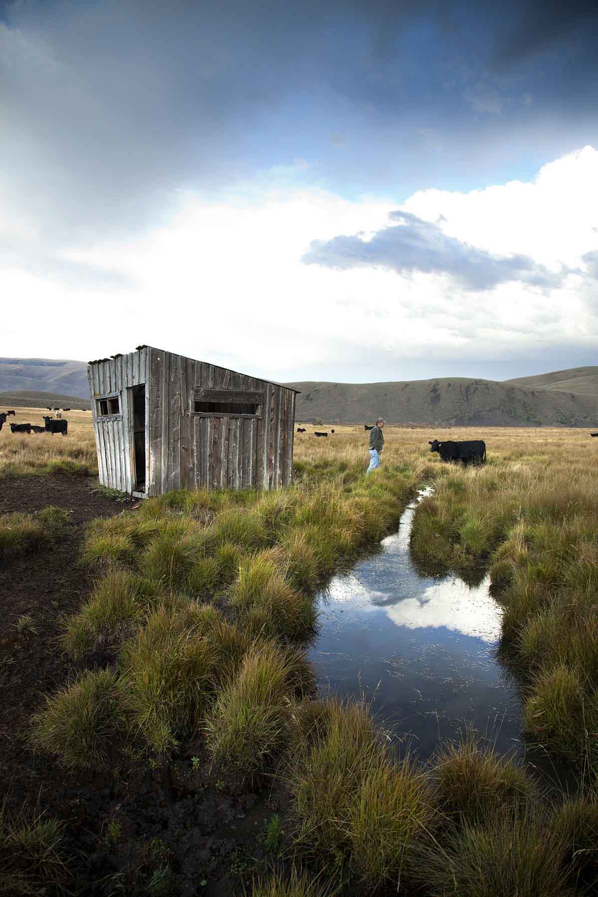 High Divide Ranch property picture 39 of 57