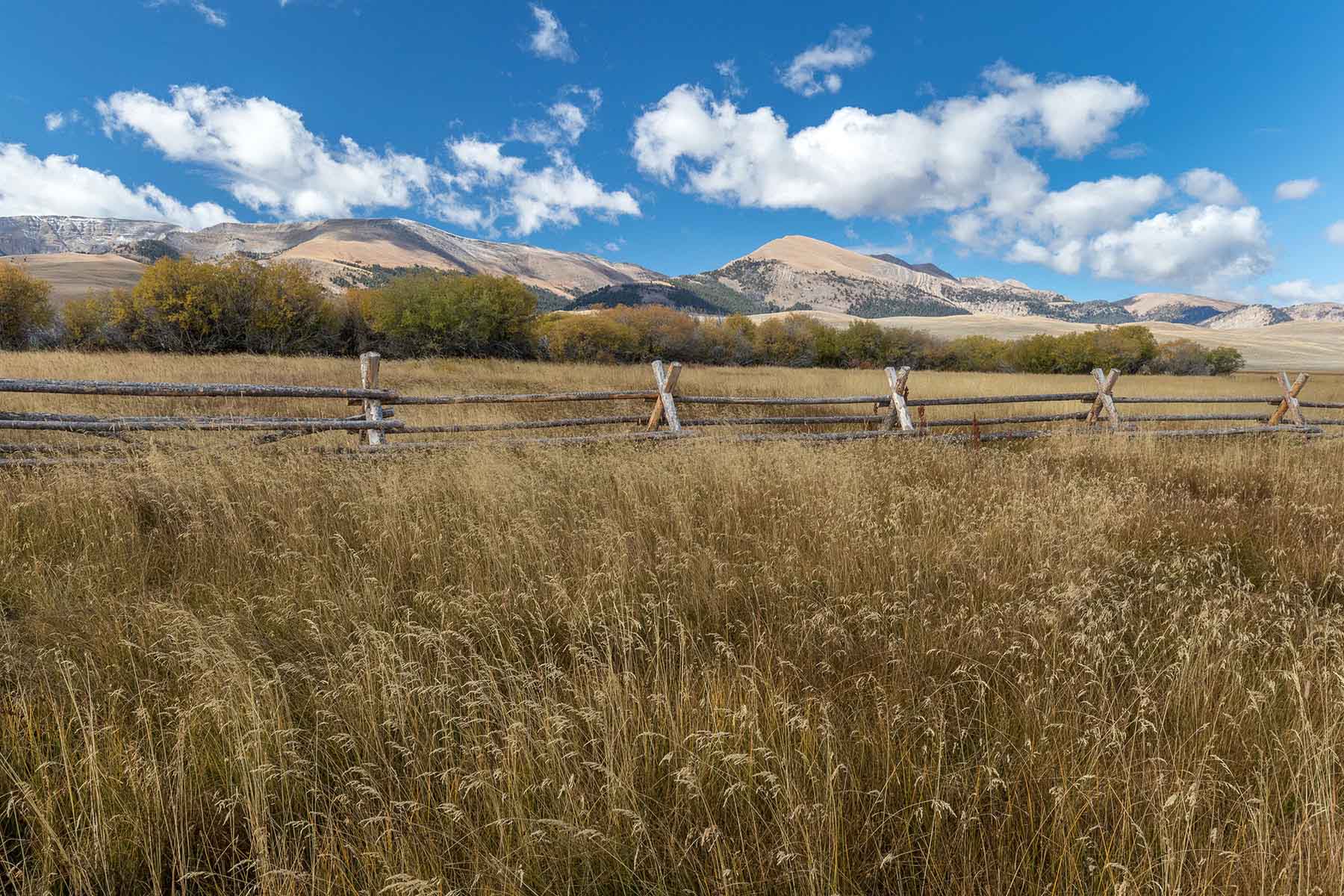 High Divide Ranch property picture 46 of 57