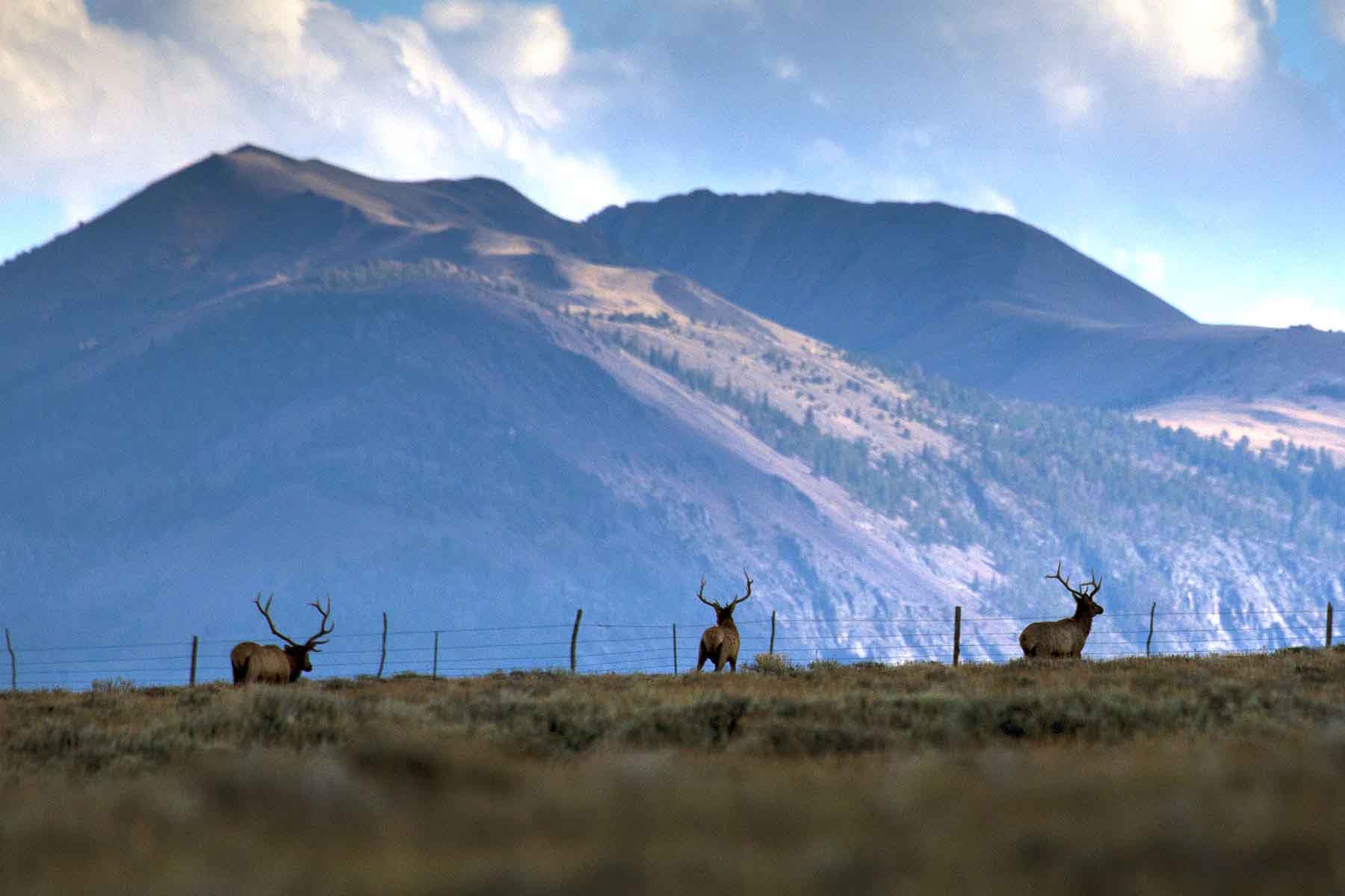 High Divide Ranch property picture 53 of 57