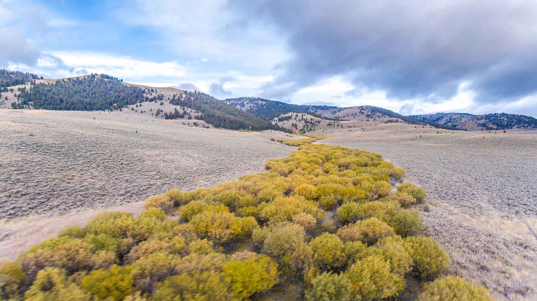 High Divide Ranch property picture 44 of 57