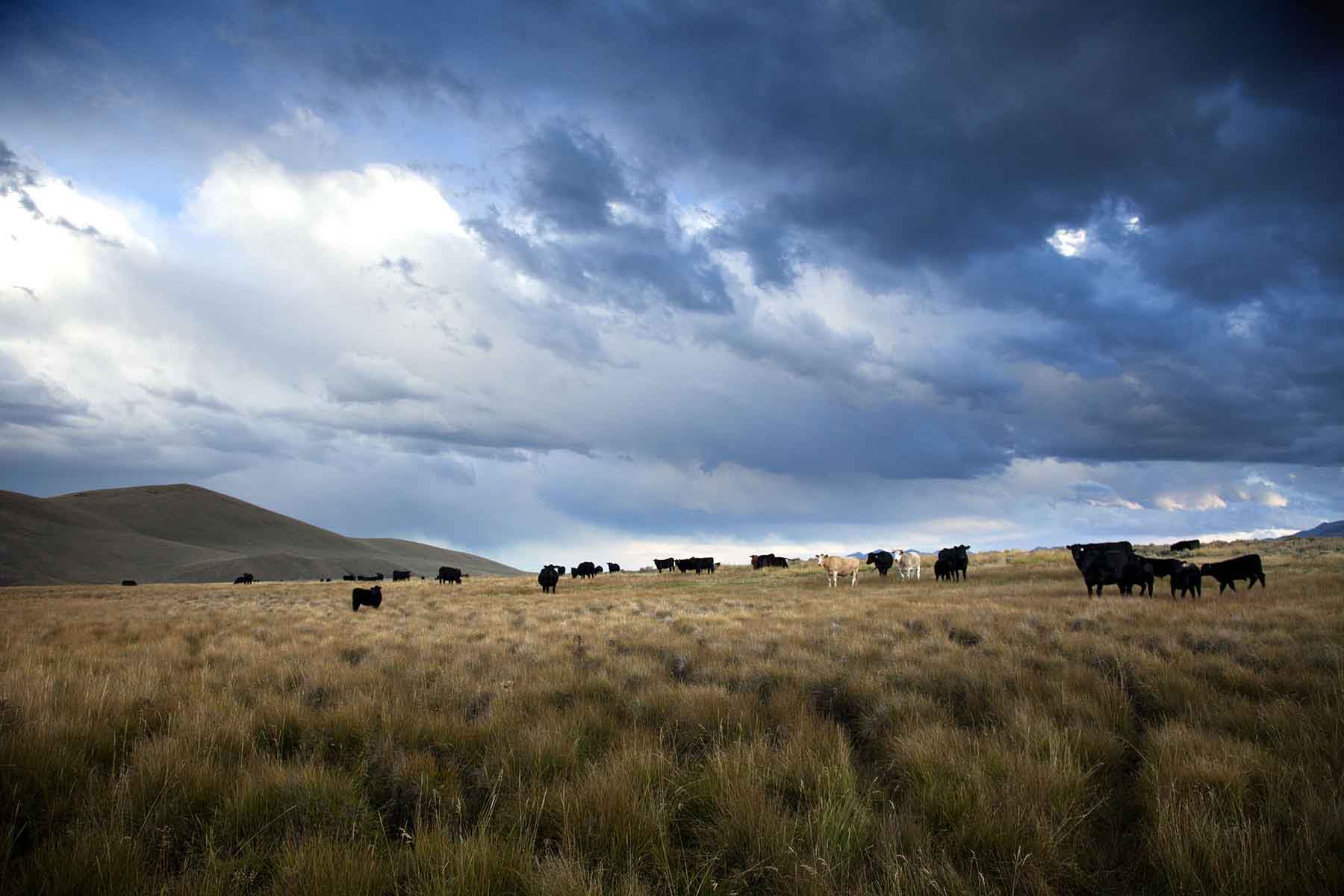 High Divide Ranch property picture 30 of 57