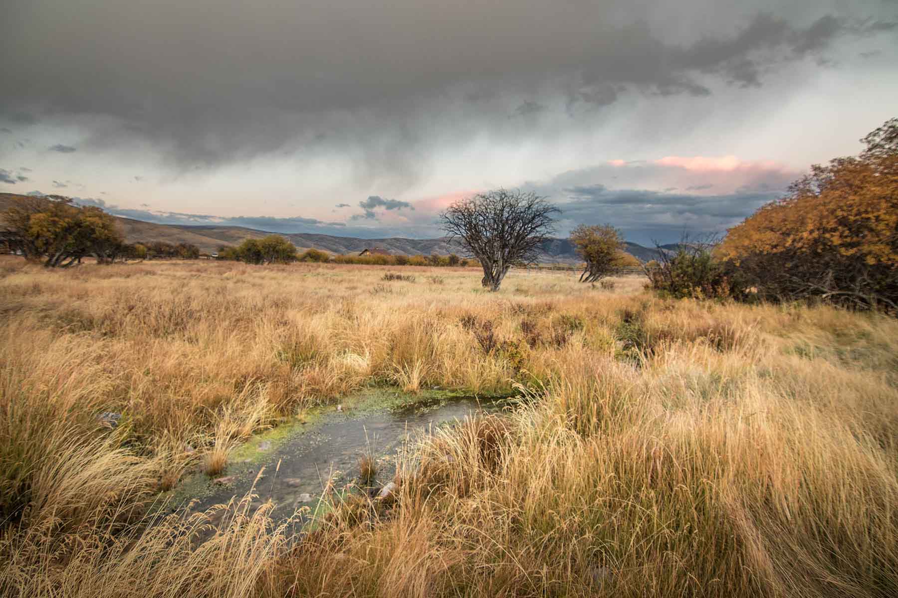 High Divide Ranch property picture 14 of 57