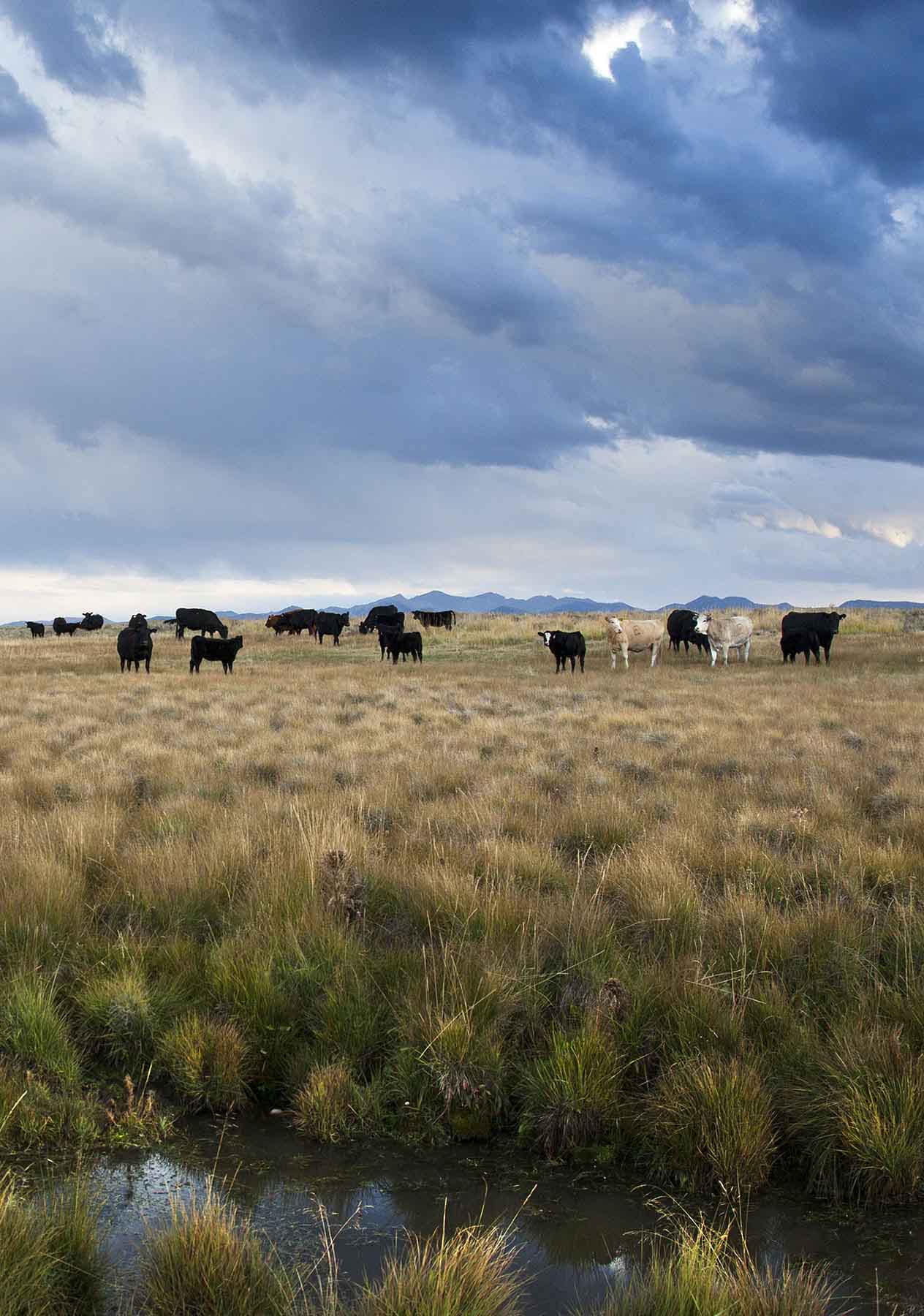 High Divide Ranch property picture 55 of 57