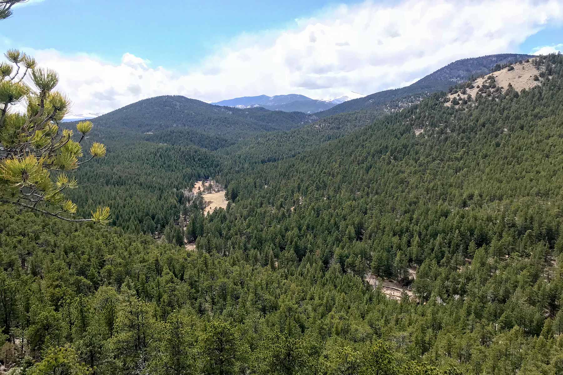 North Middle Fork Ranch property picture 43 of 49