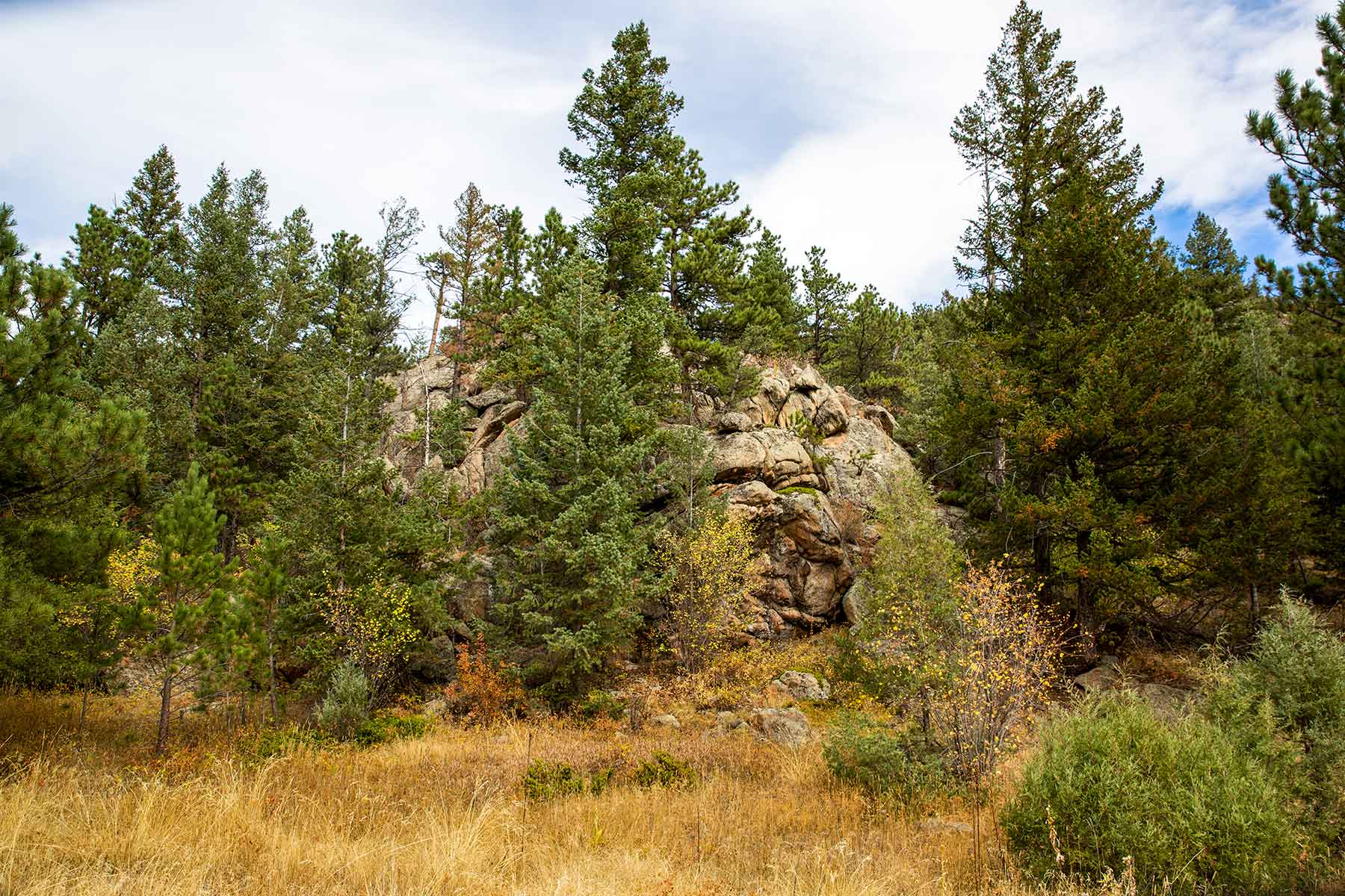 North Middle Fork Ranch property picture 6 of 49