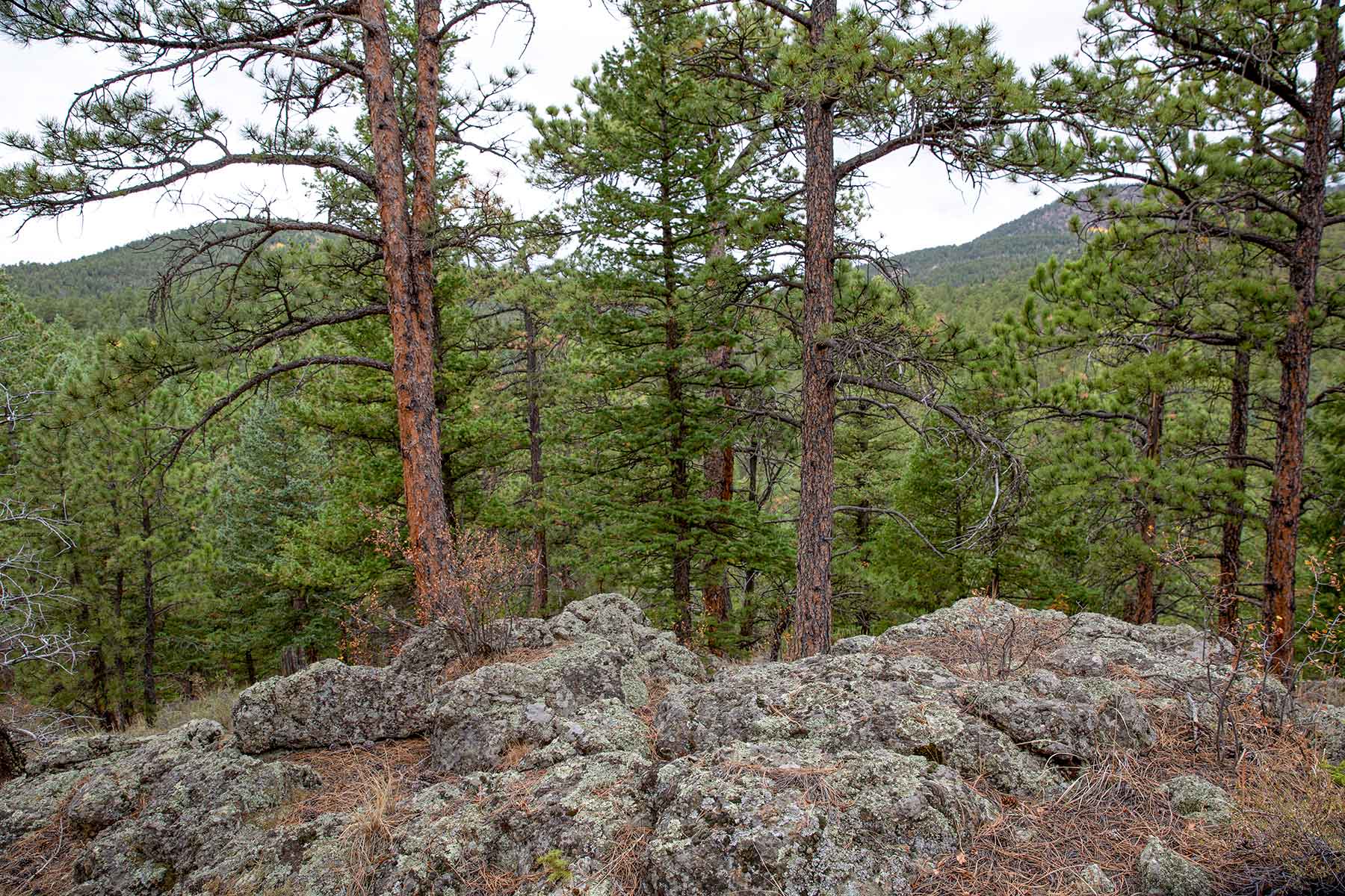 North Middle Fork Ranch property picture 39 of 49