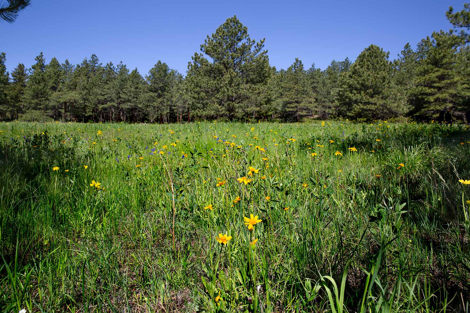 North Middle Fork Ranch property picture 15 of 49