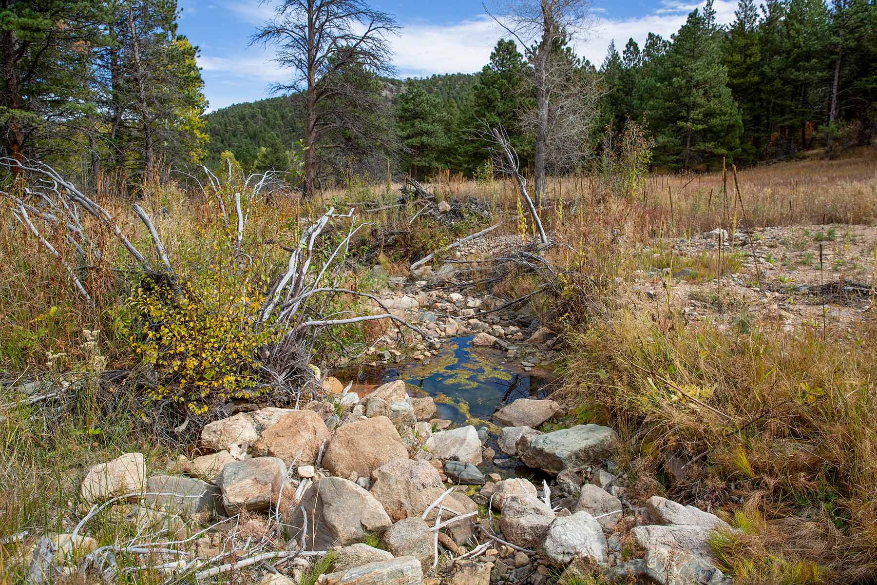 North Middle Fork Ranch property picture 37 of 49