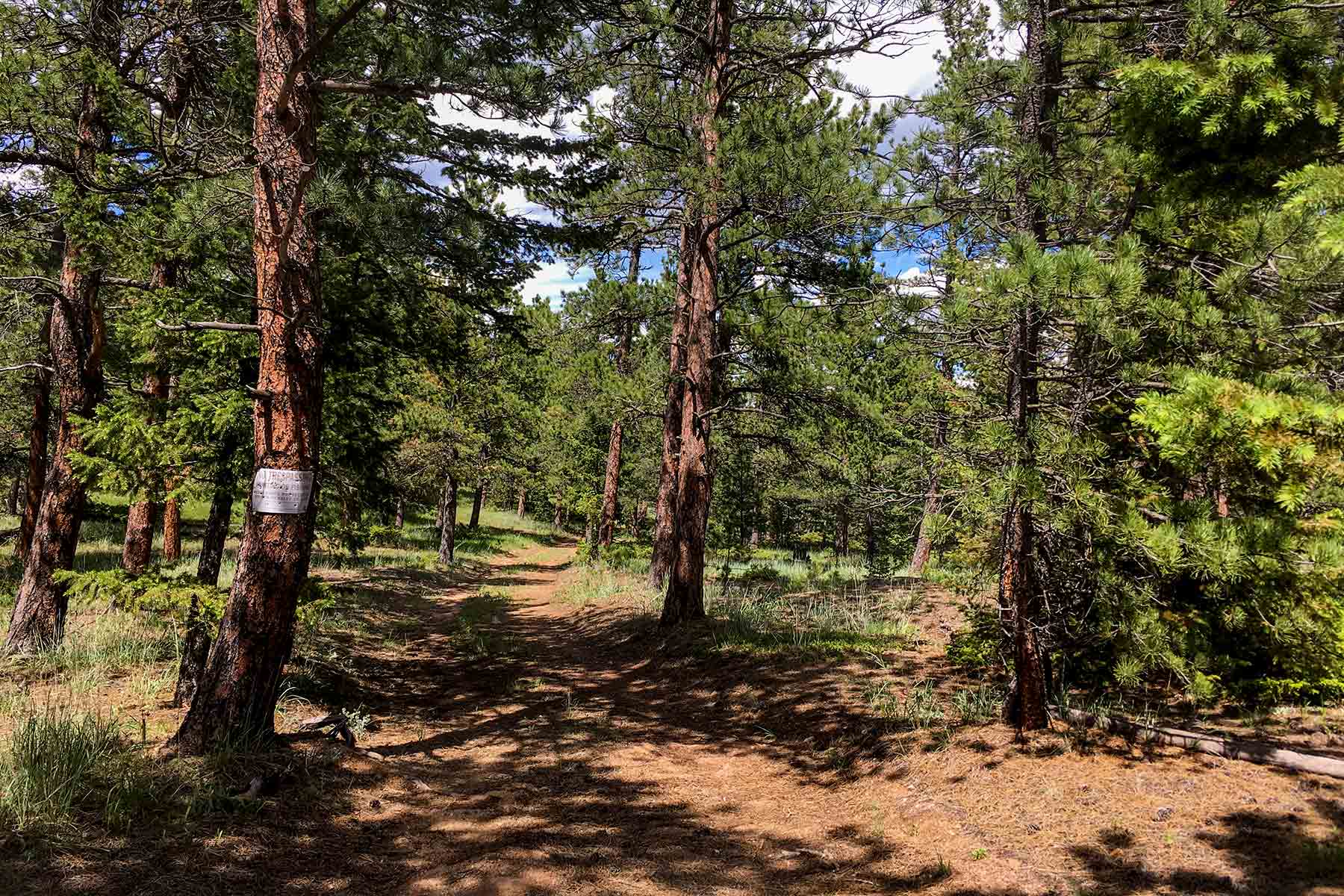 North Middle Fork Ranch property picture 28 of 49