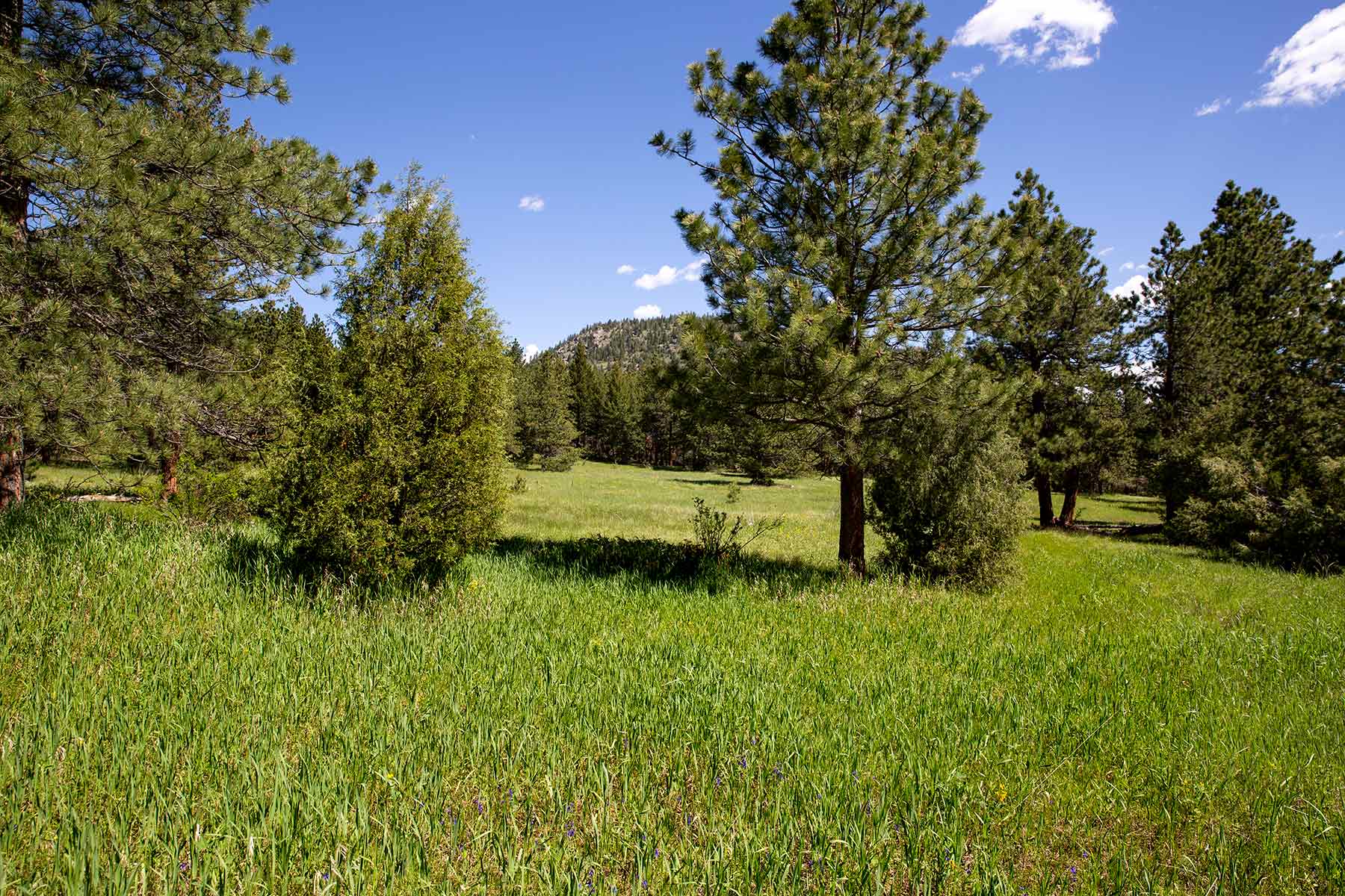 North Middle Fork Ranch property picture 13 of 49