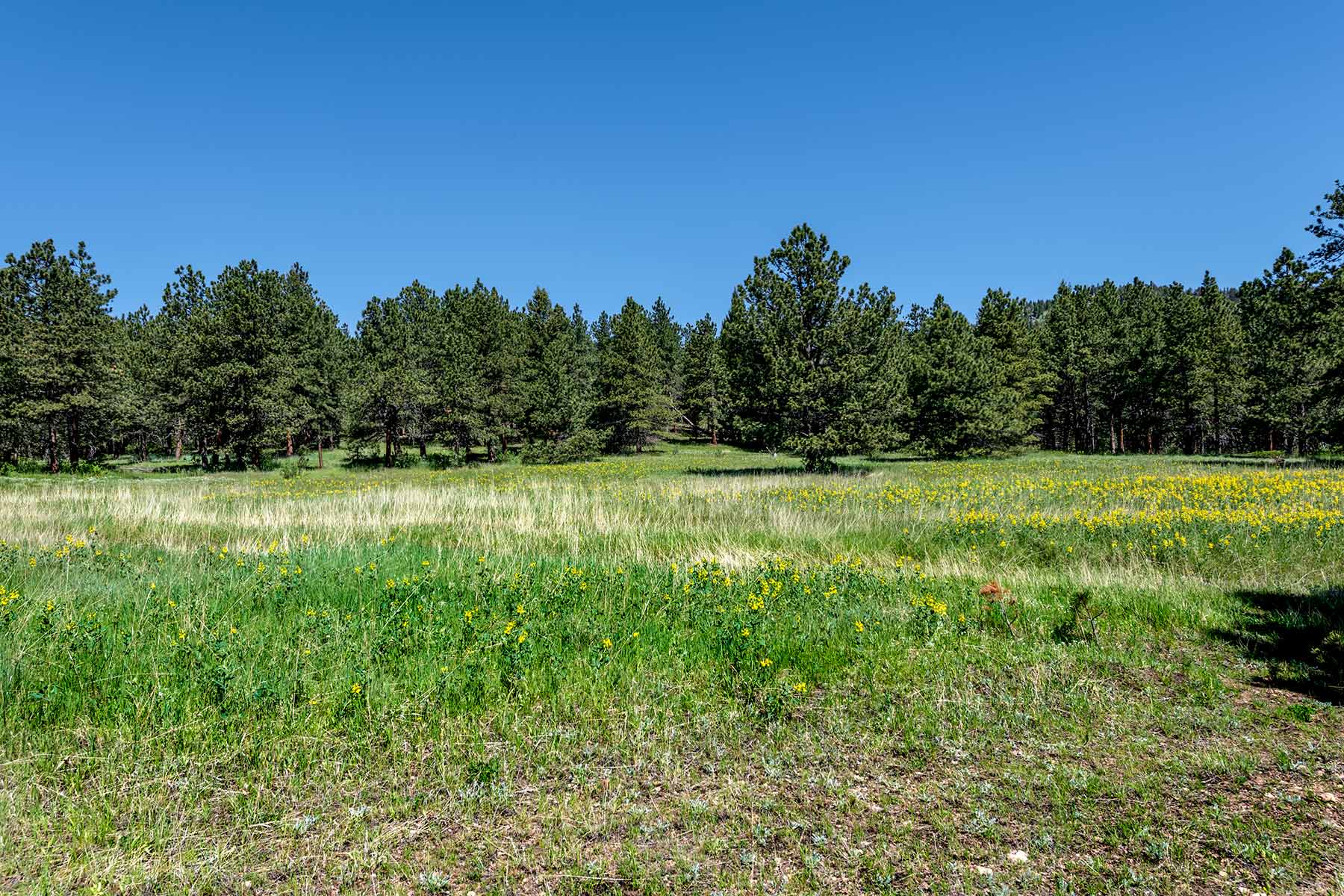 North Middle Fork Ranch property picture 9 of 49