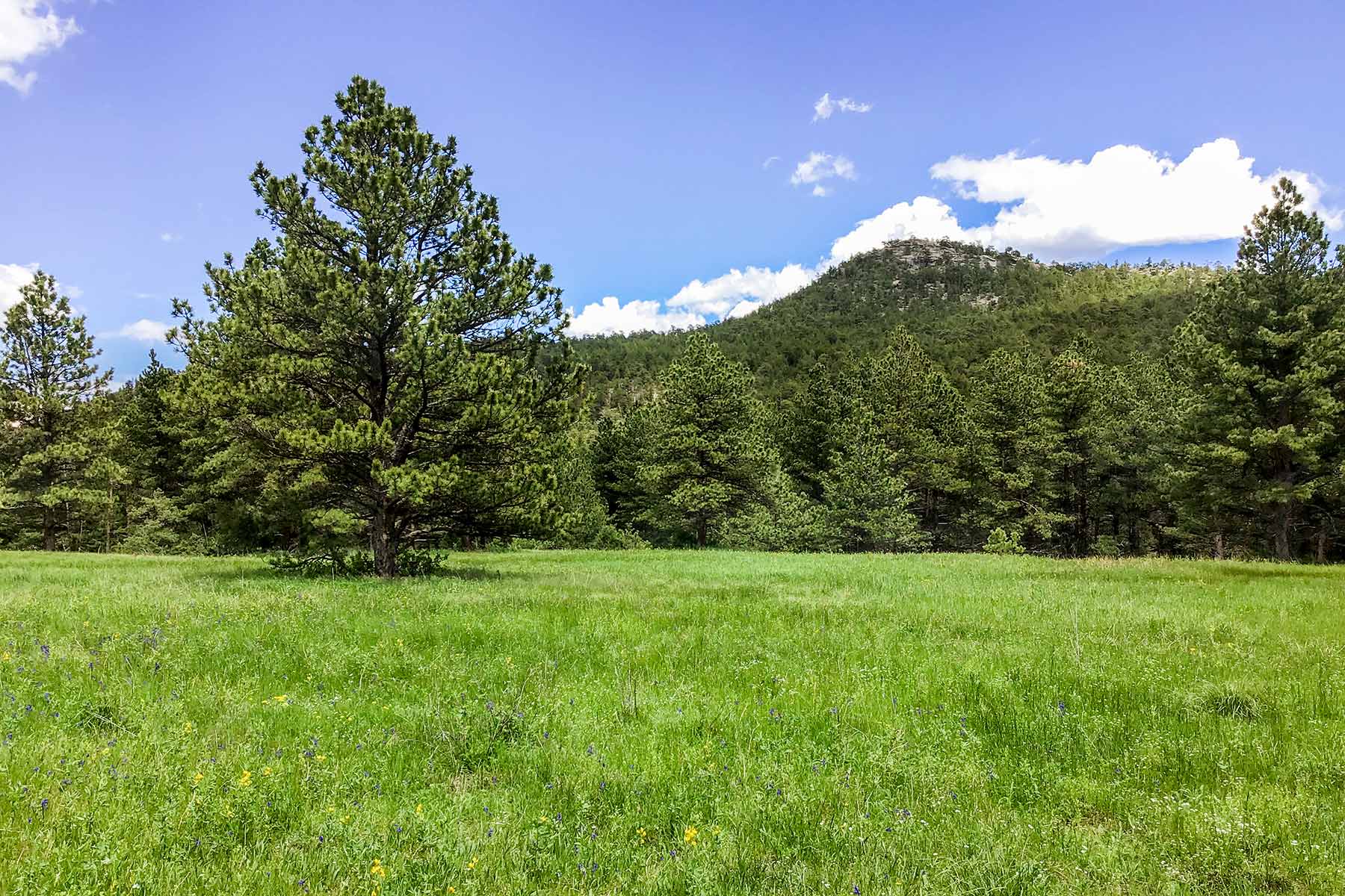 North Middle Fork Ranch property picture 23 of 49