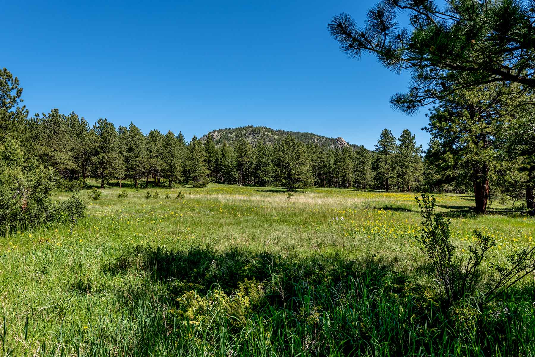 North Middle Fork Ranch property picture 10 of 49