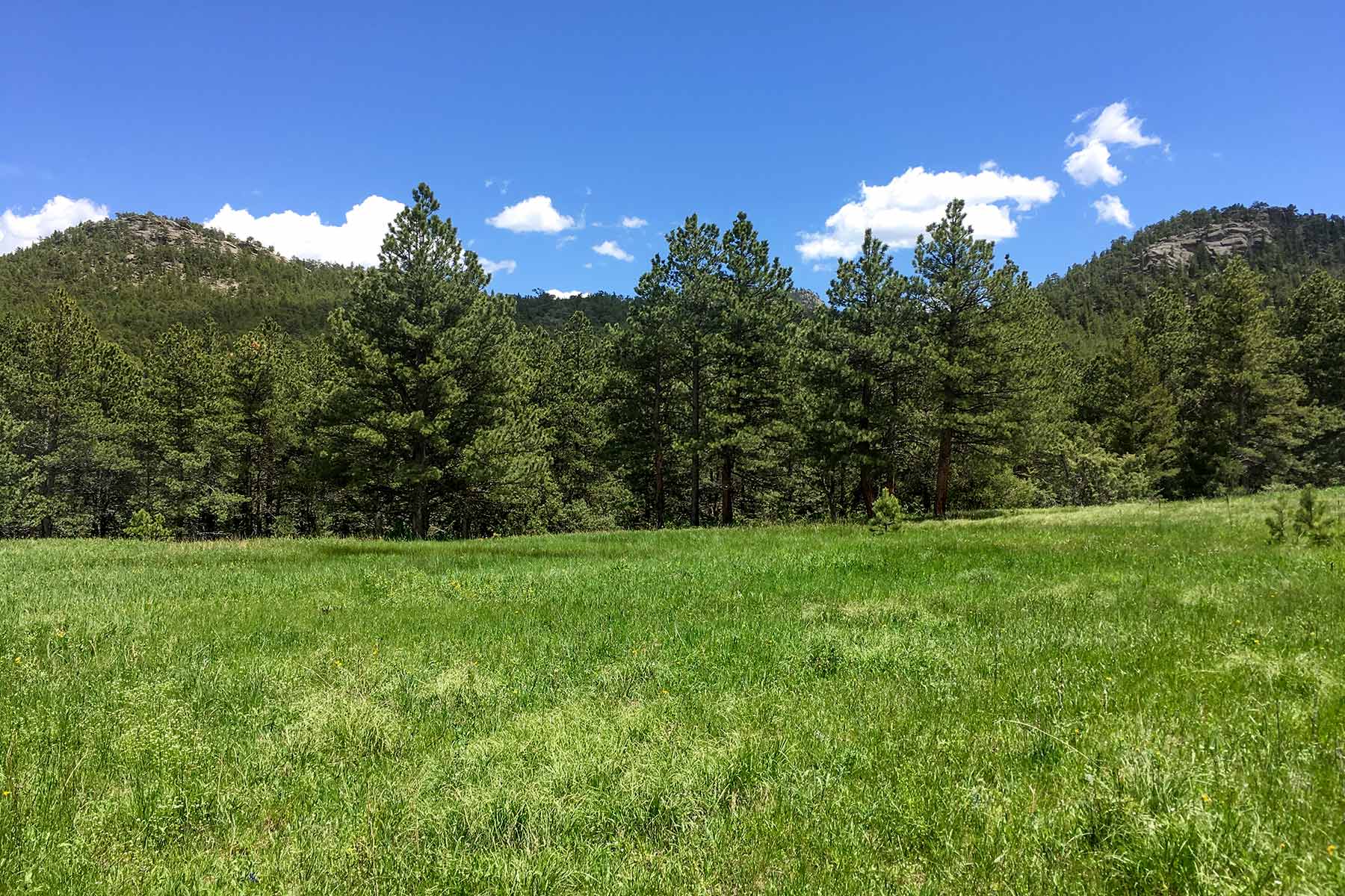 North Middle Fork Ranch property picture 4 of 49