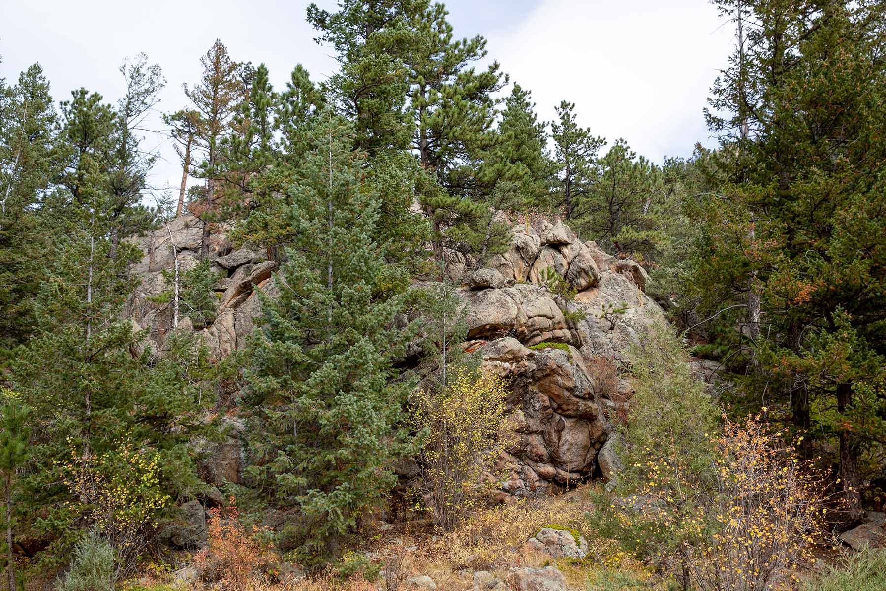 North Middle Fork Ranch property picture 35 of 49