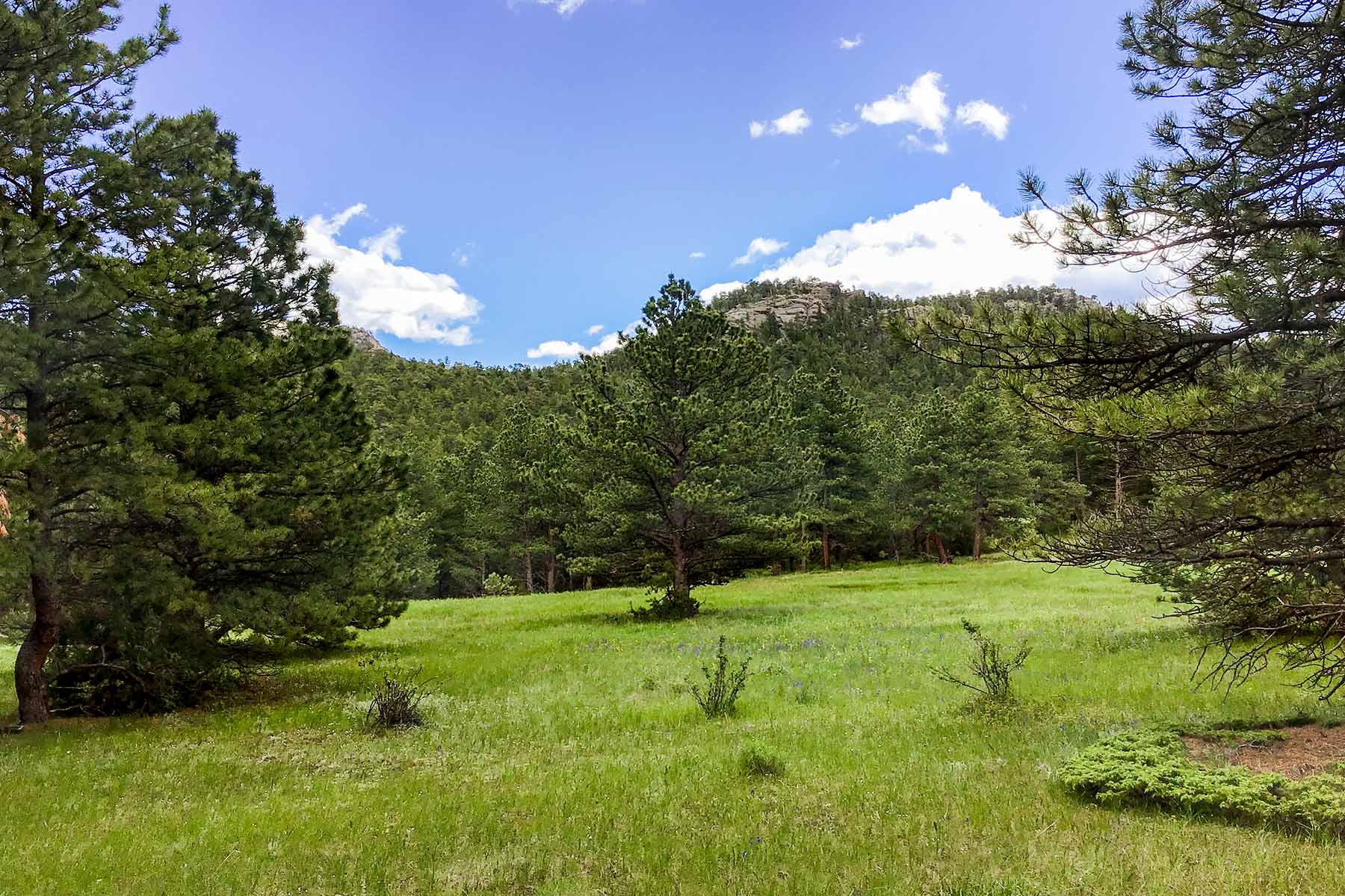 North Middle Fork Ranch property picture 5 of 49