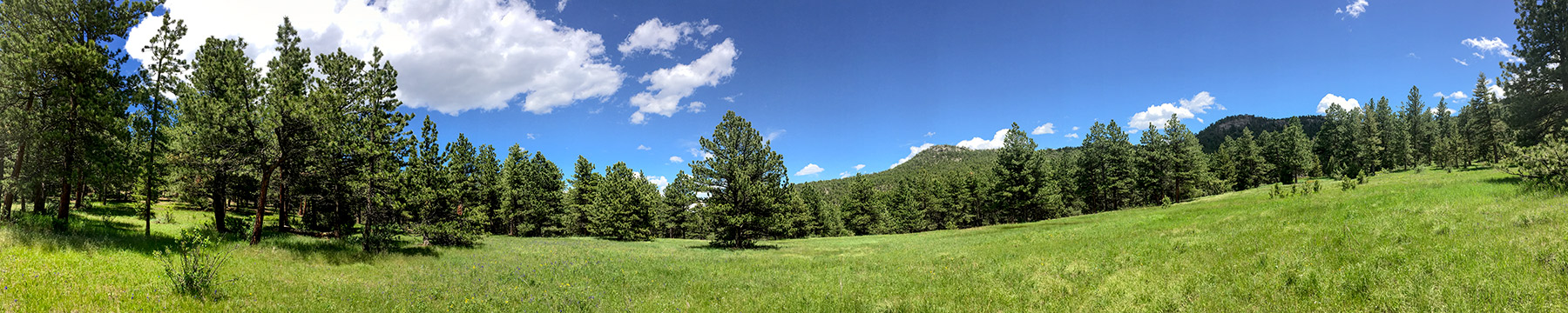 North Middle Fork Ranch property picture 27 of 49