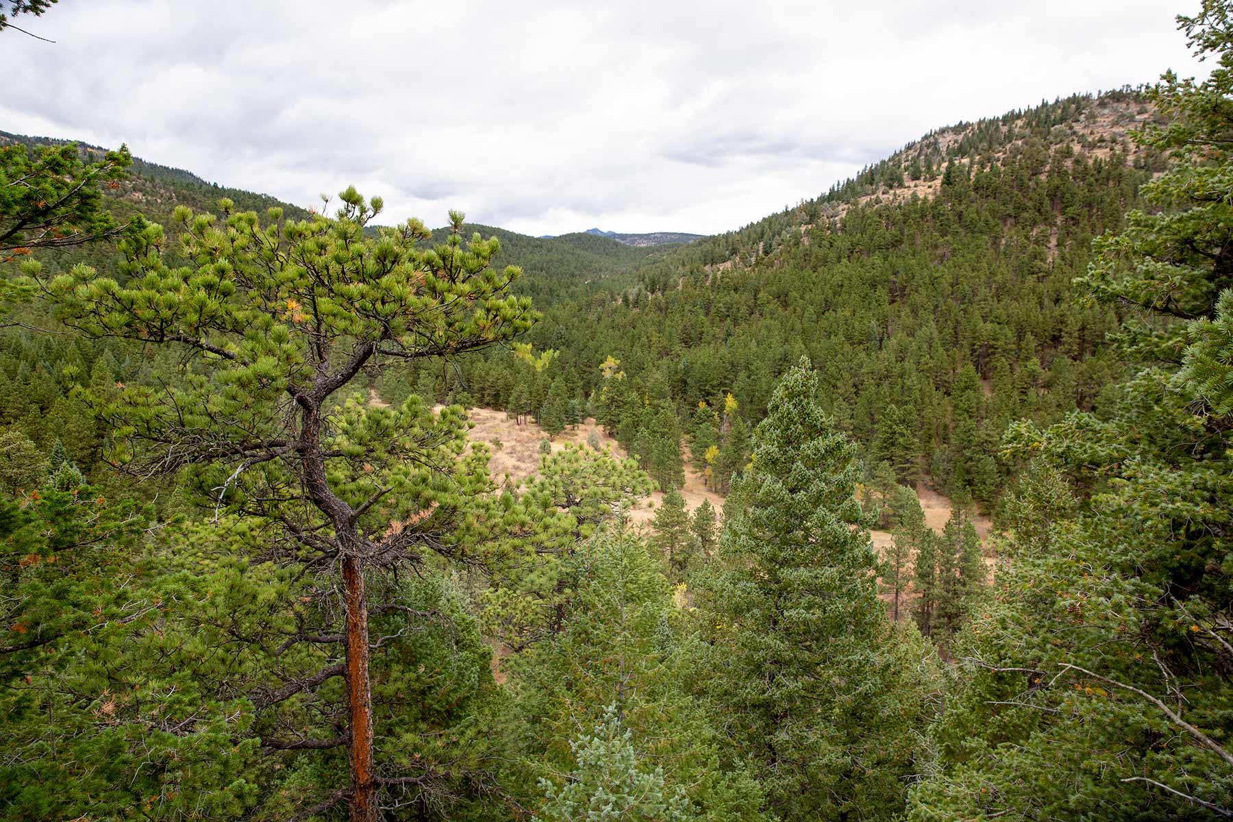 North Middle Fork Ranch property picture 41 of 49