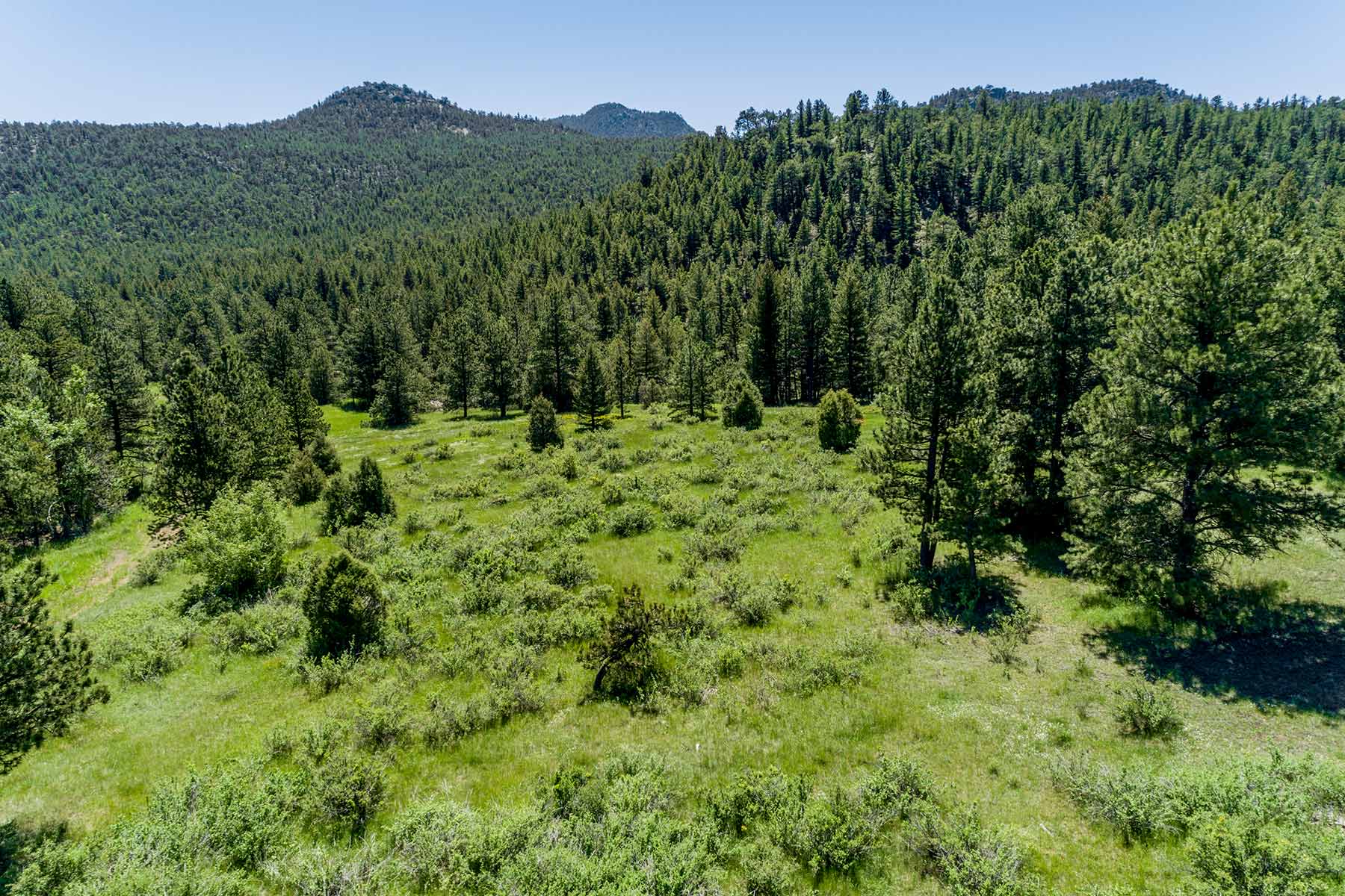 North Middle Fork Ranch property picture 48 of 49