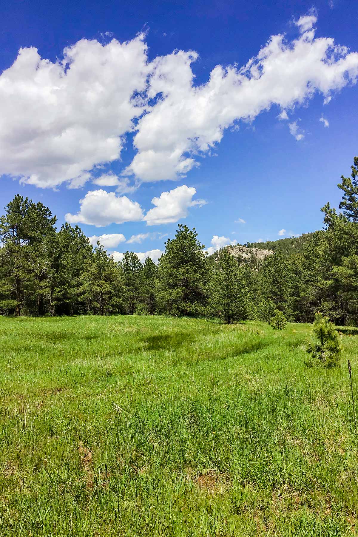 North Middle Fork Ranch property picture 24 of 49