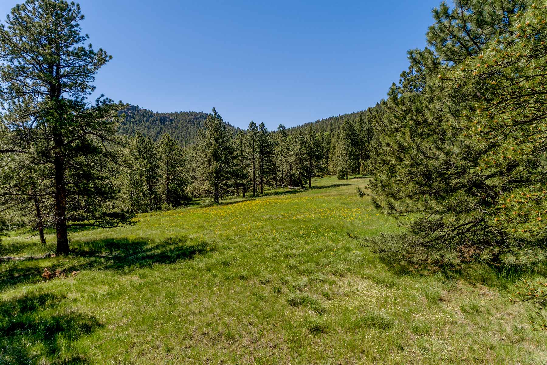North Middle Fork Ranch property picture 47 of 49