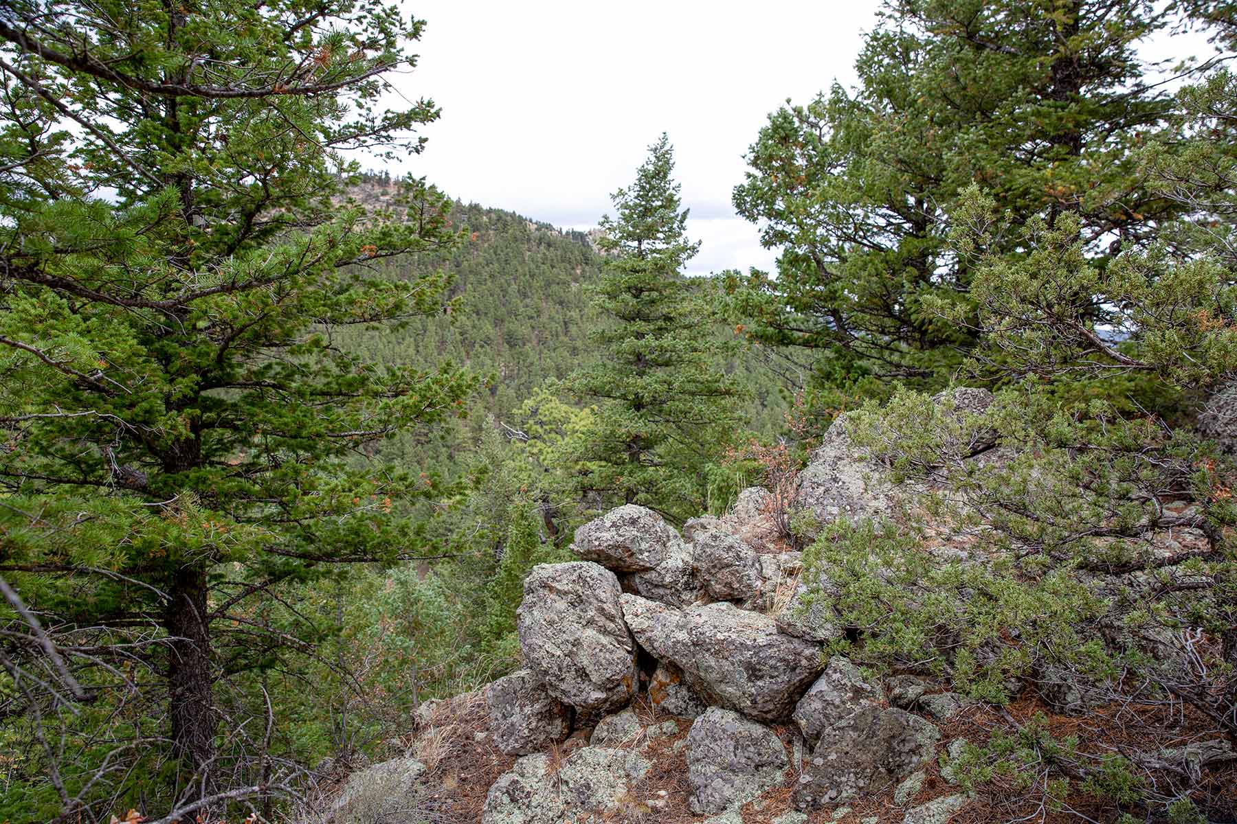 North Middle Fork Ranch property picture 40 of 49