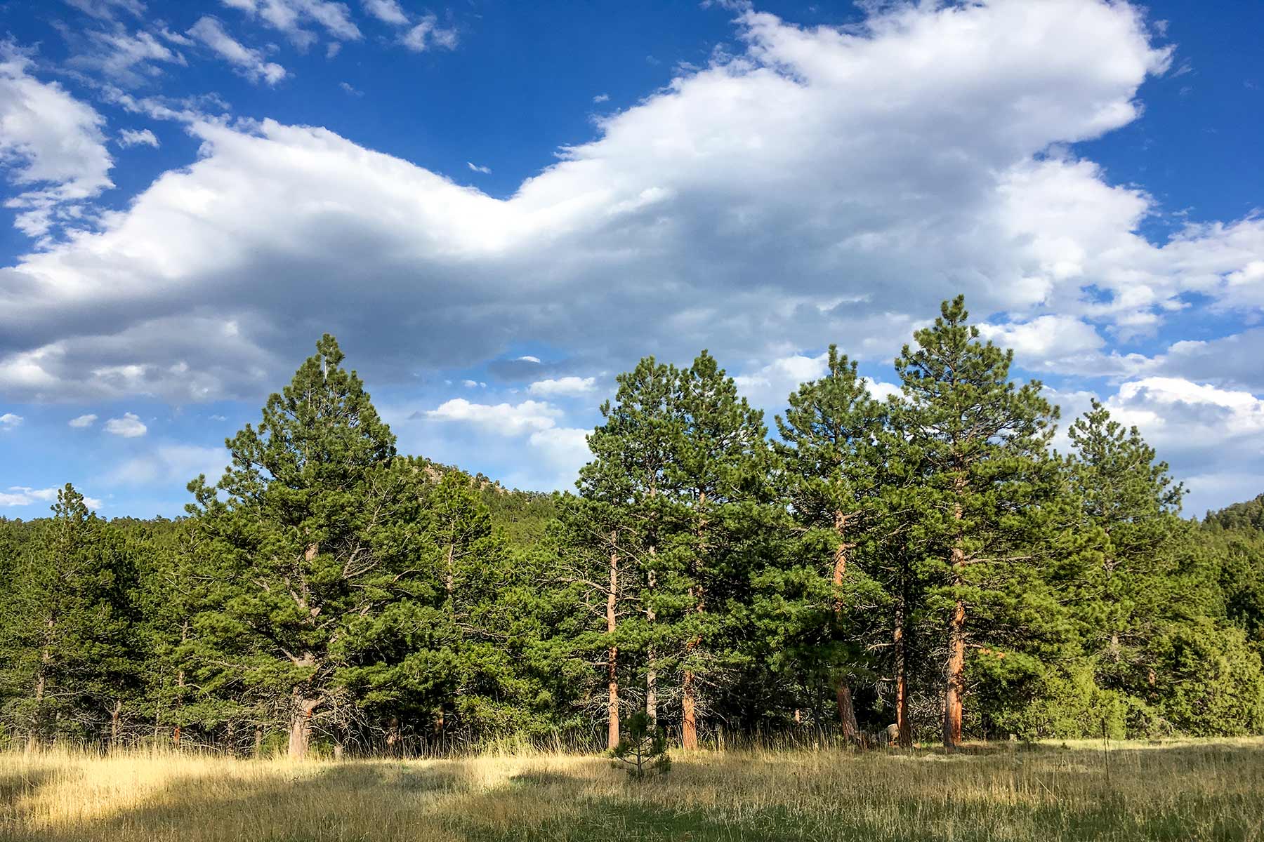 North Middle Fork Ranch property picture 2 of 49