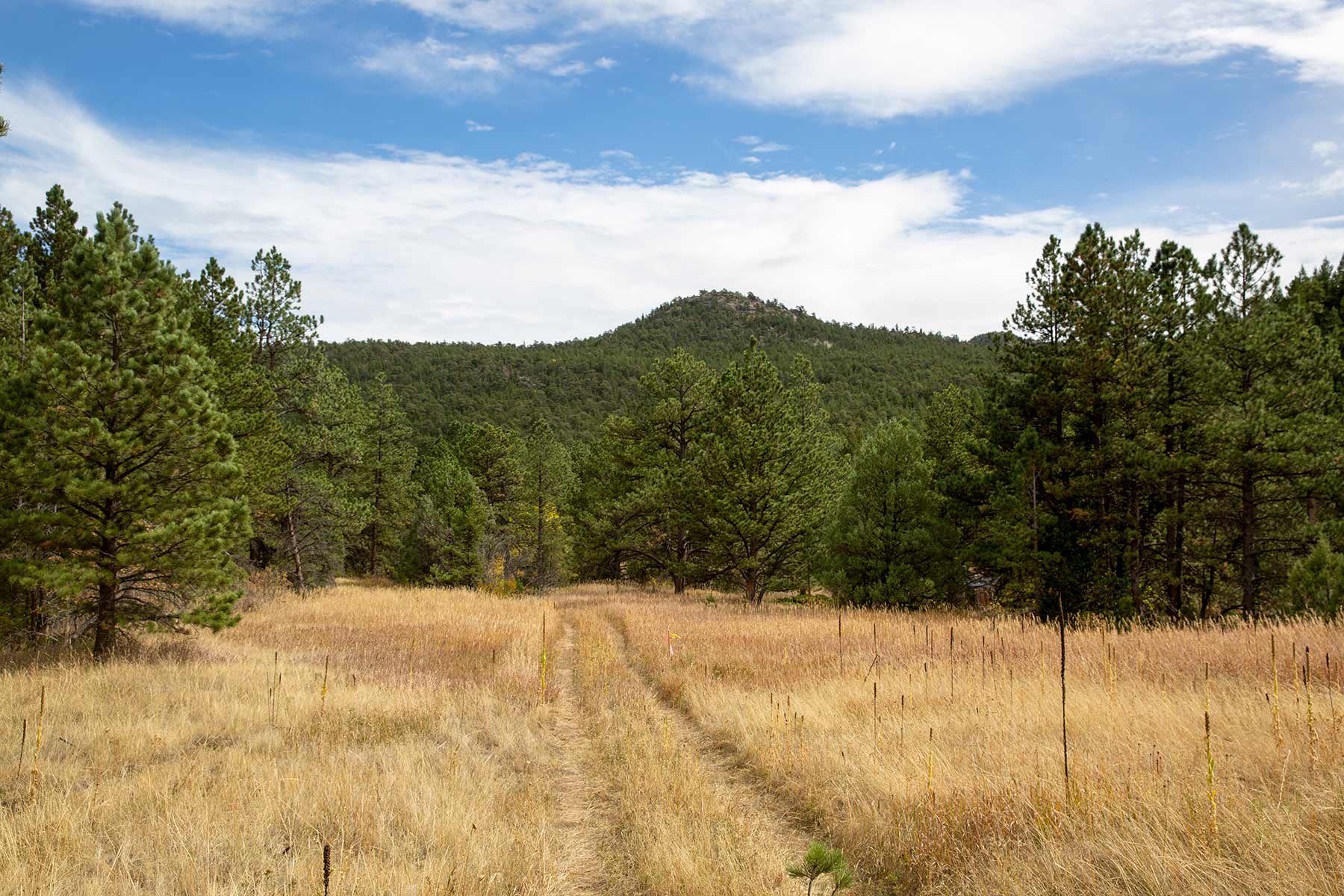 North Middle Fork Ranch property picture 36 of 49