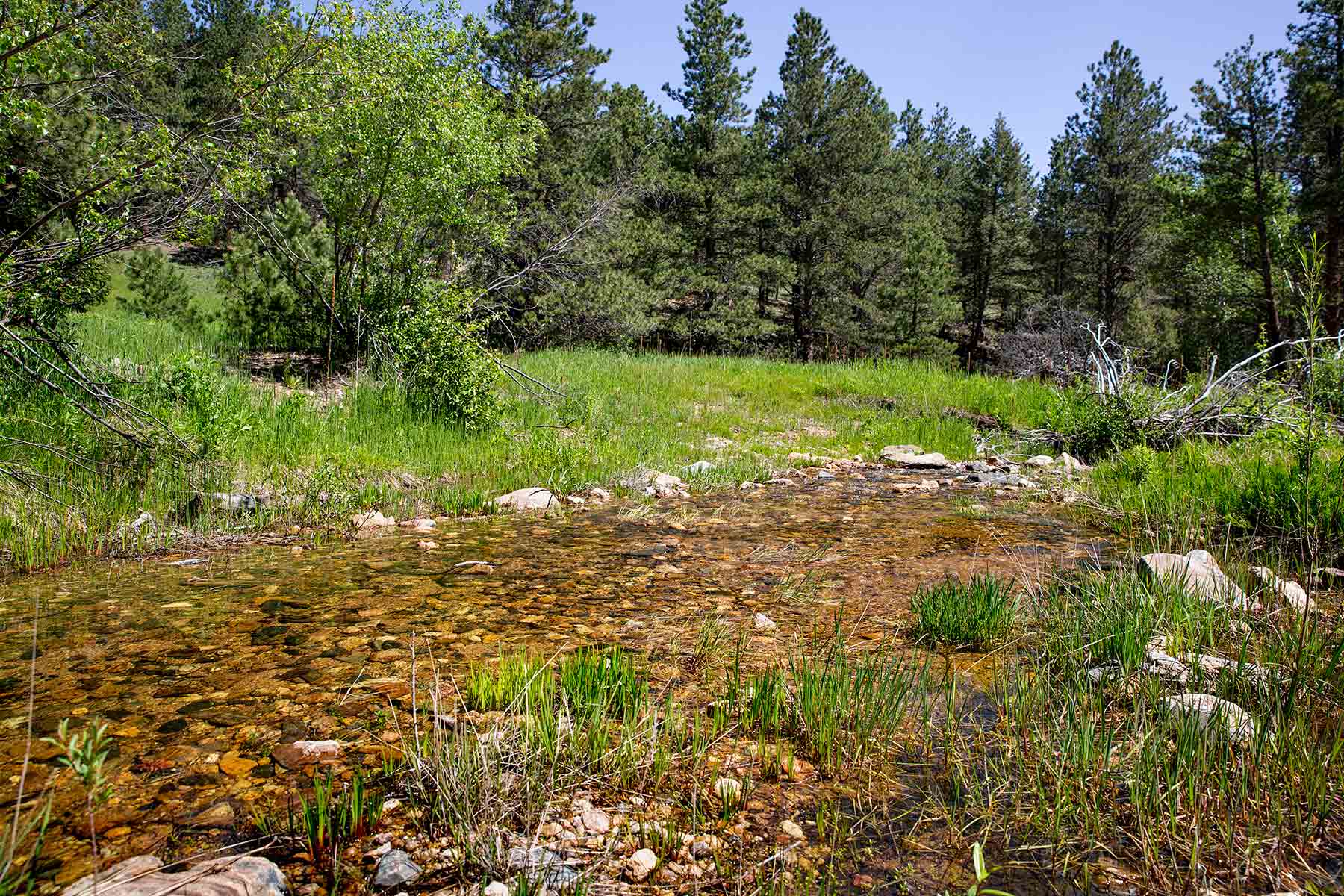 North Middle Fork Ranch property picture 22 of 49