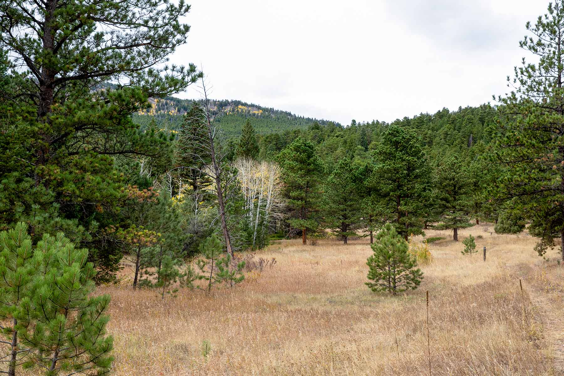 North Middle Fork Ranch property picture 31 of 49