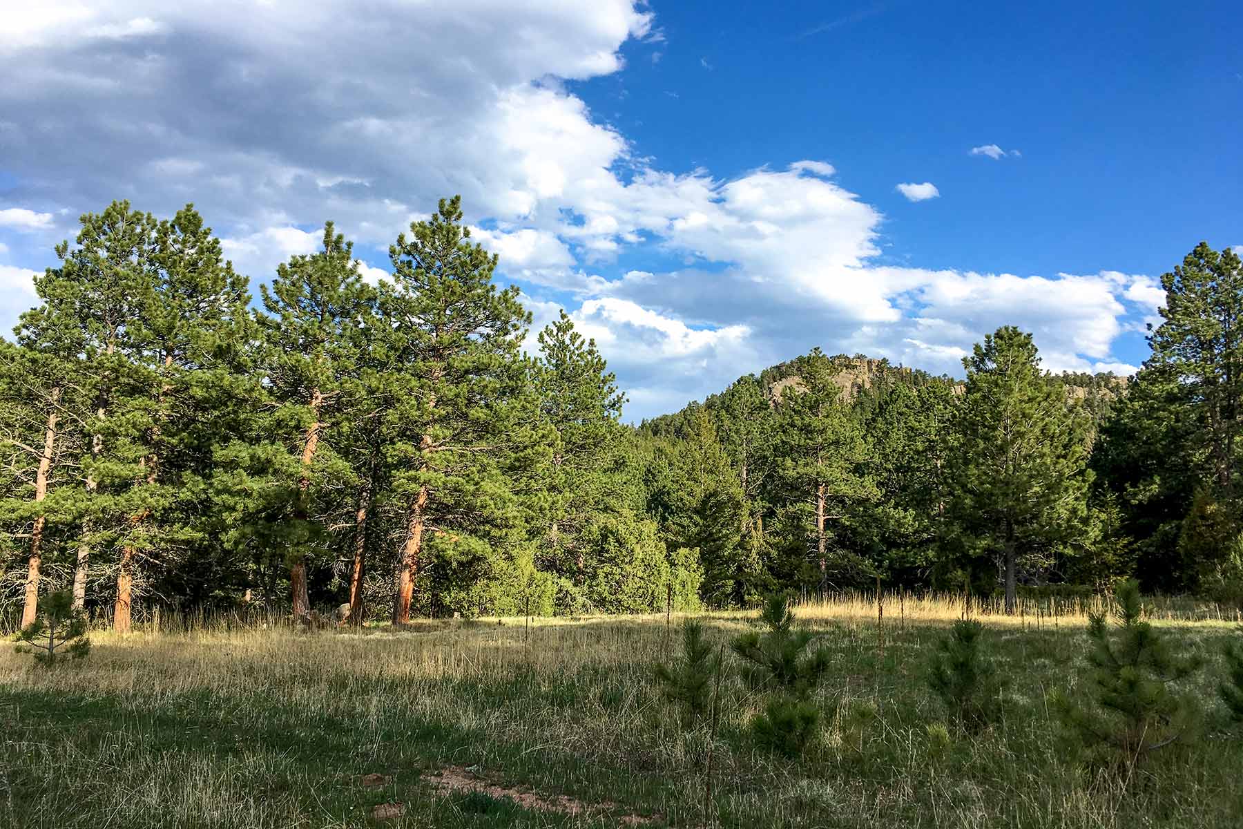 North Middle Fork Ranch property picture 44 of 49