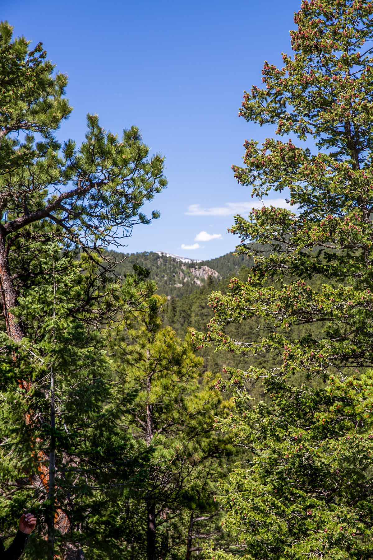 North Middle Fork Ranch property picture 19 of 49