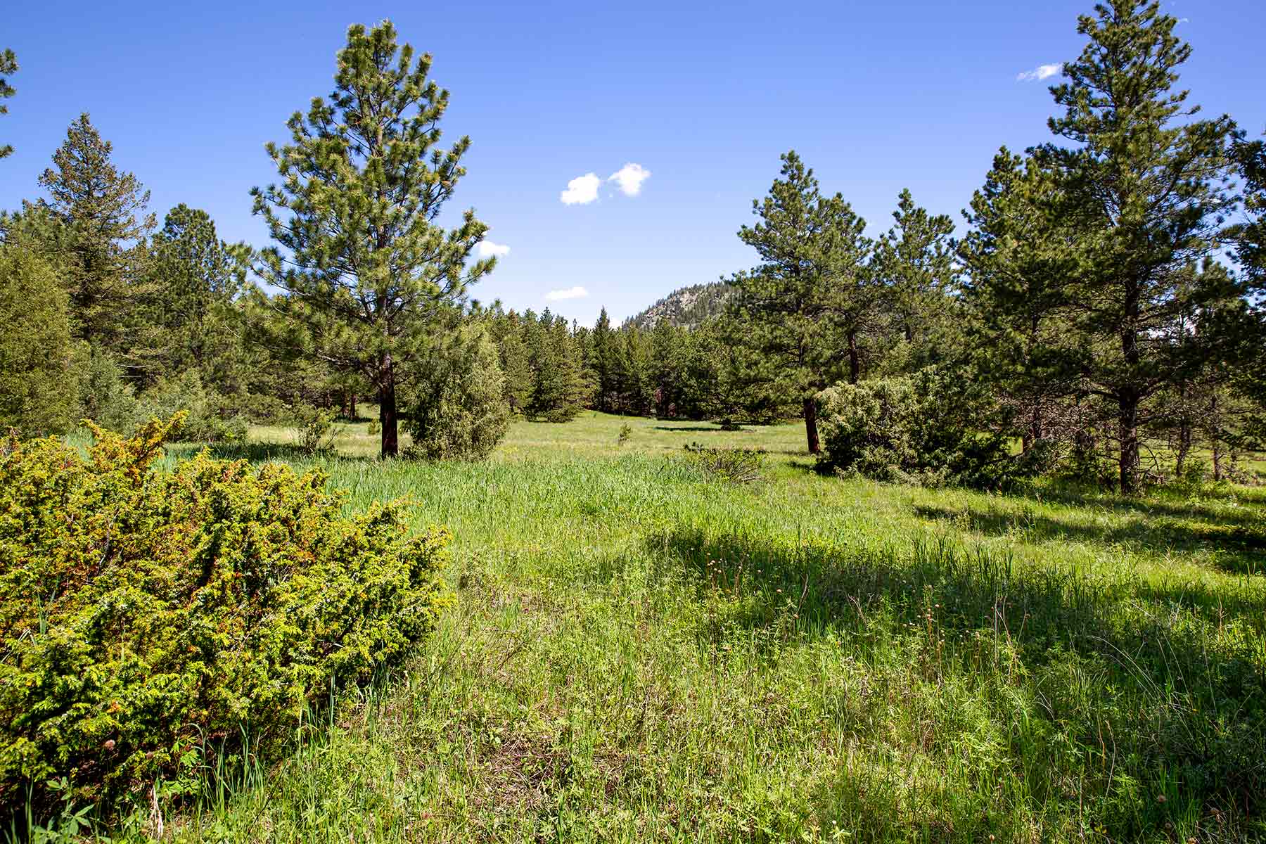 North Middle Fork Ranch property picture 14 of 49