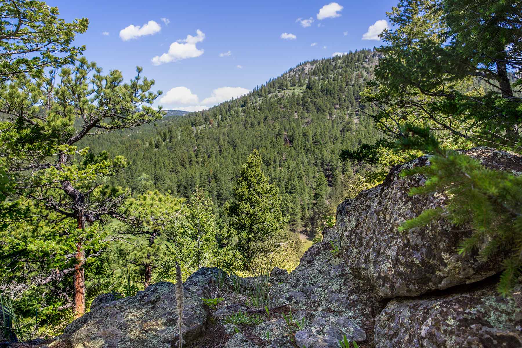 North Middle Fork Ranch property picture 18 of 49