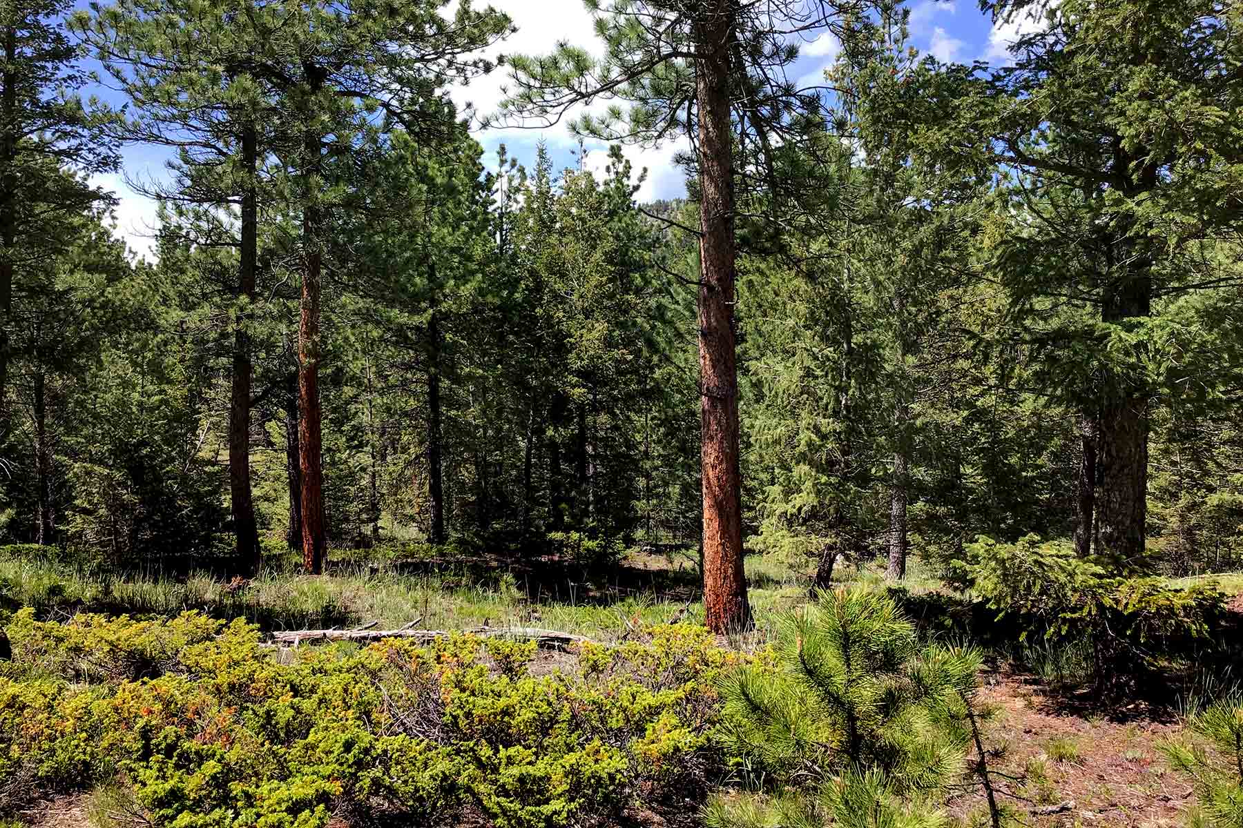 North Middle Fork Ranch property picture 25 of 49