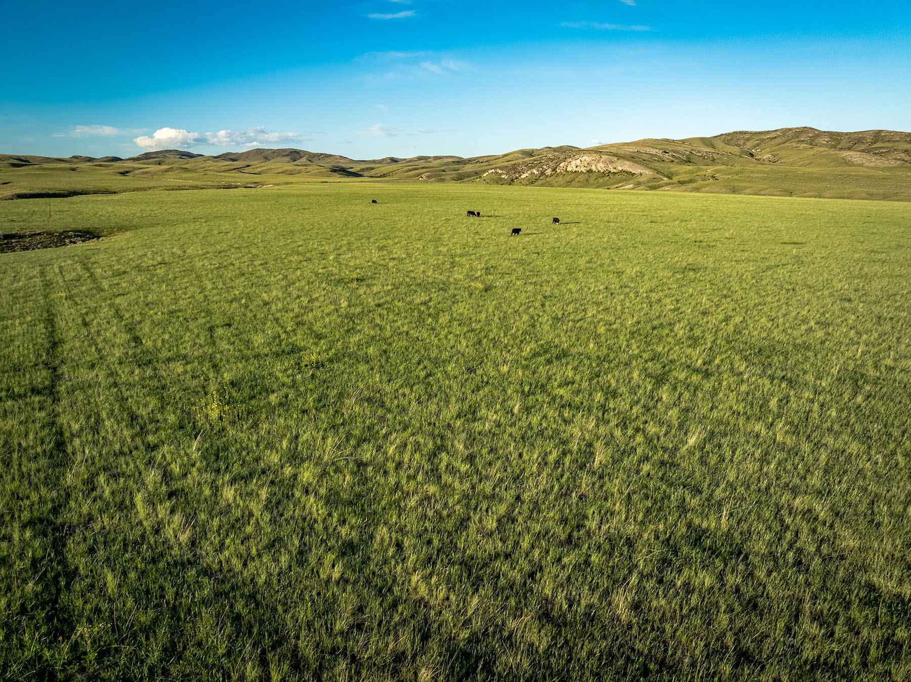 Copper City Ranch property picture 58 of 67