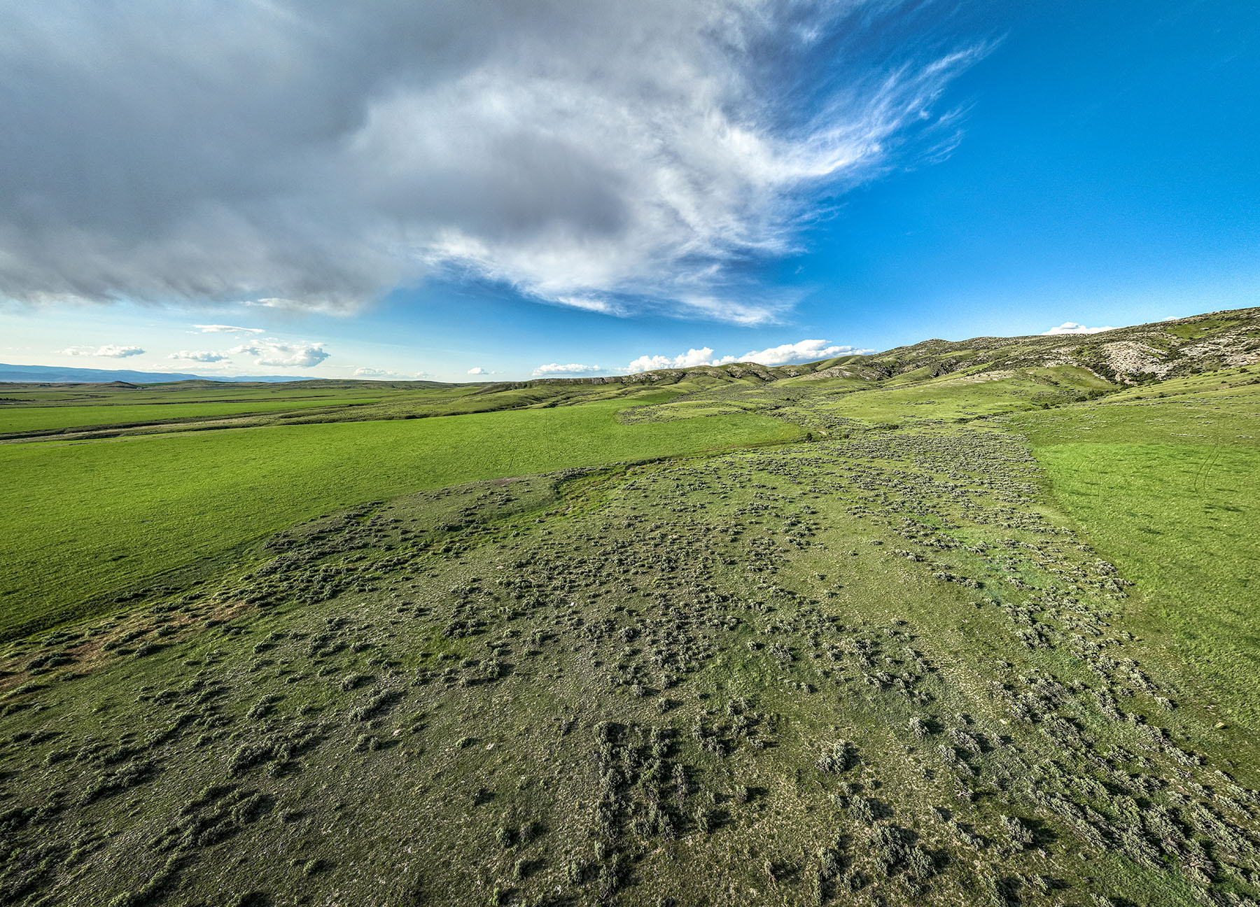 Copper City Ranch property picture 64 of 67