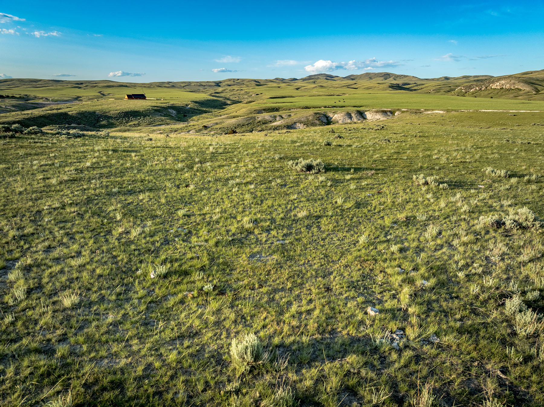 Copper City Ranch property picture 57 of 67