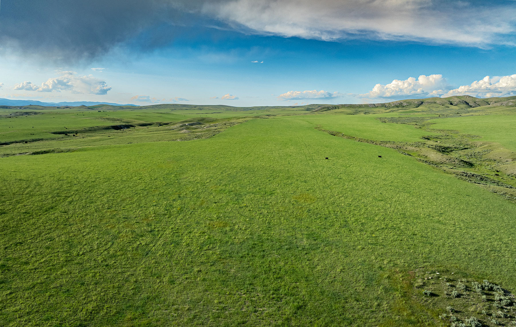 Copper City Ranch property picture 63 of 67