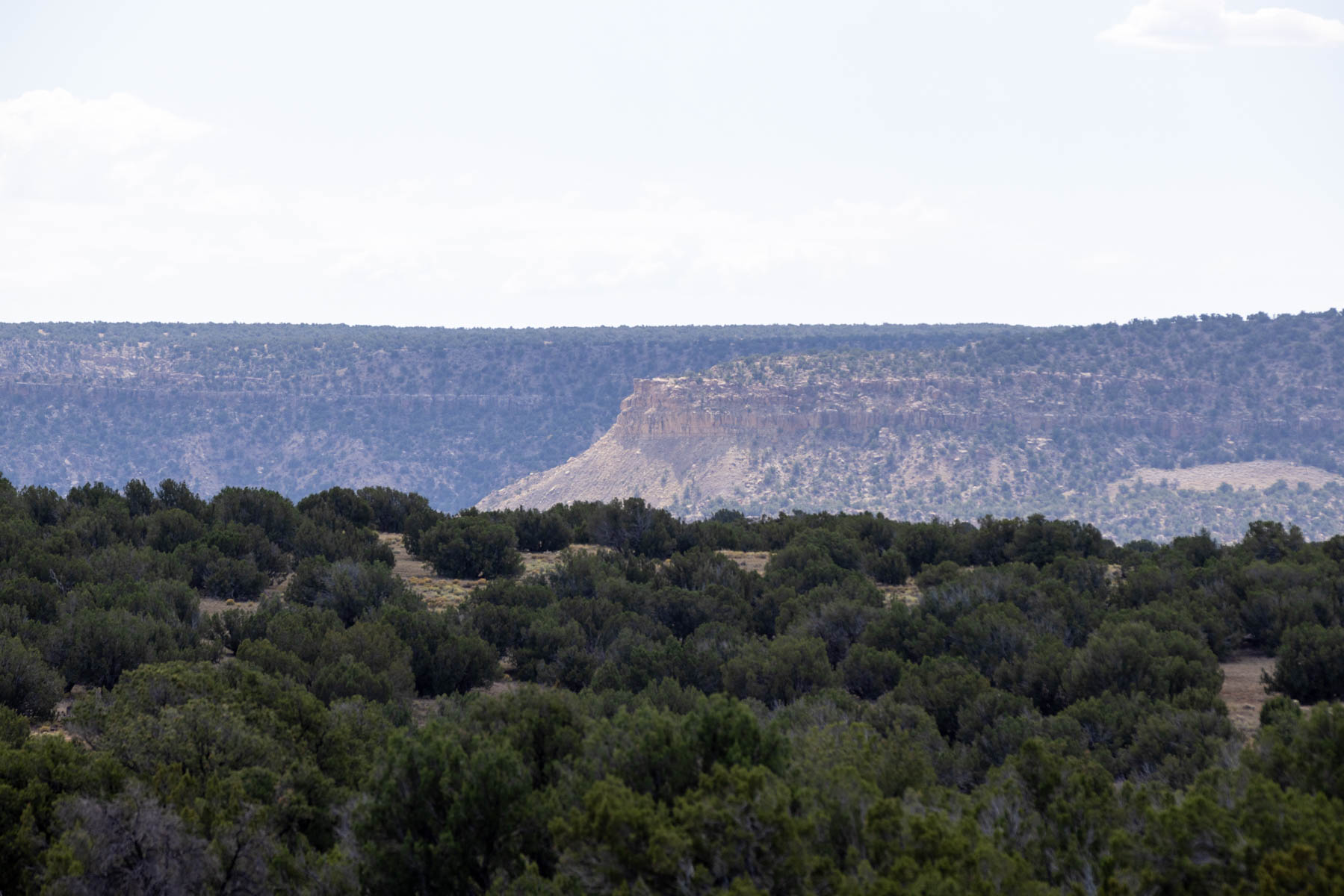 Atarque Ranch property picture 91 of 131