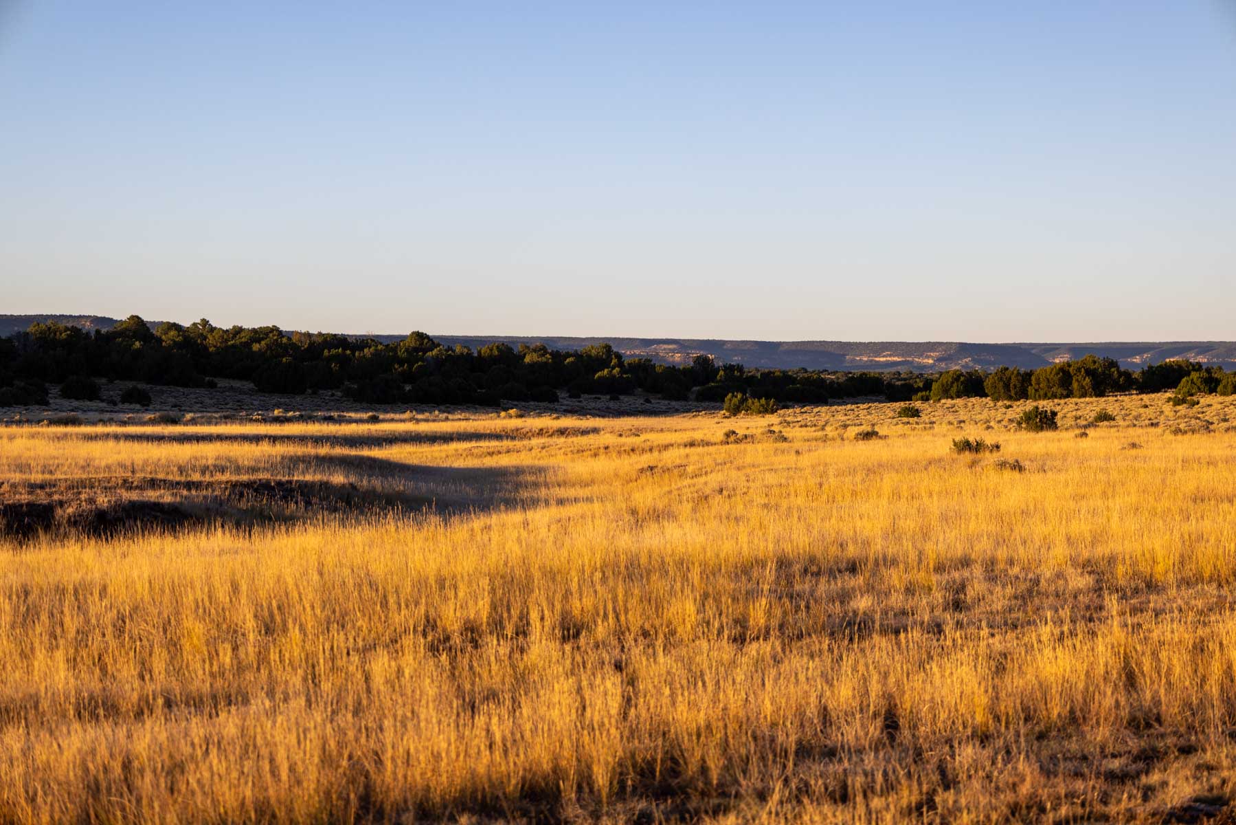 Atarque Ranch property picture 75 of 131