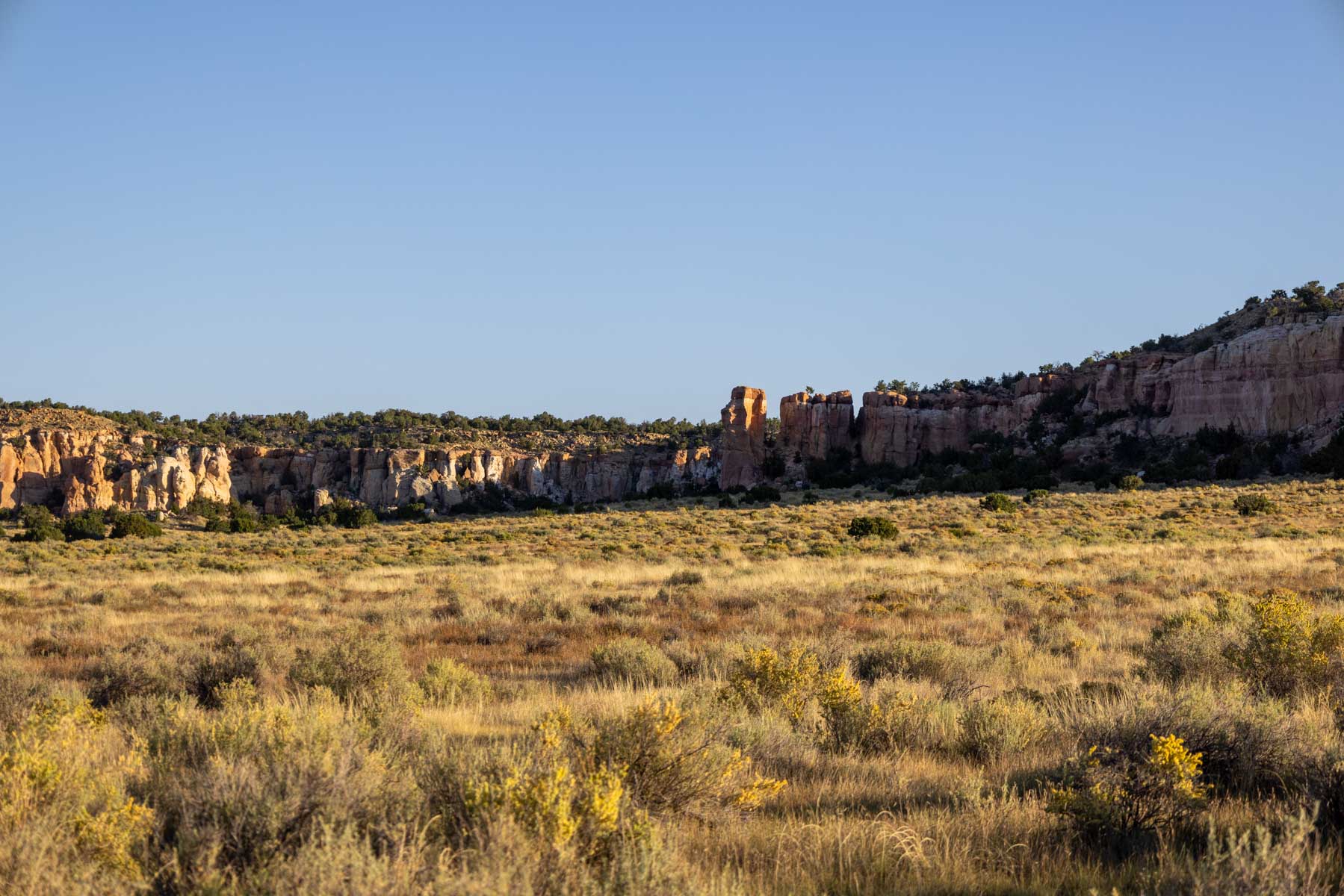 Atarque Ranch property picture 20 of 131
