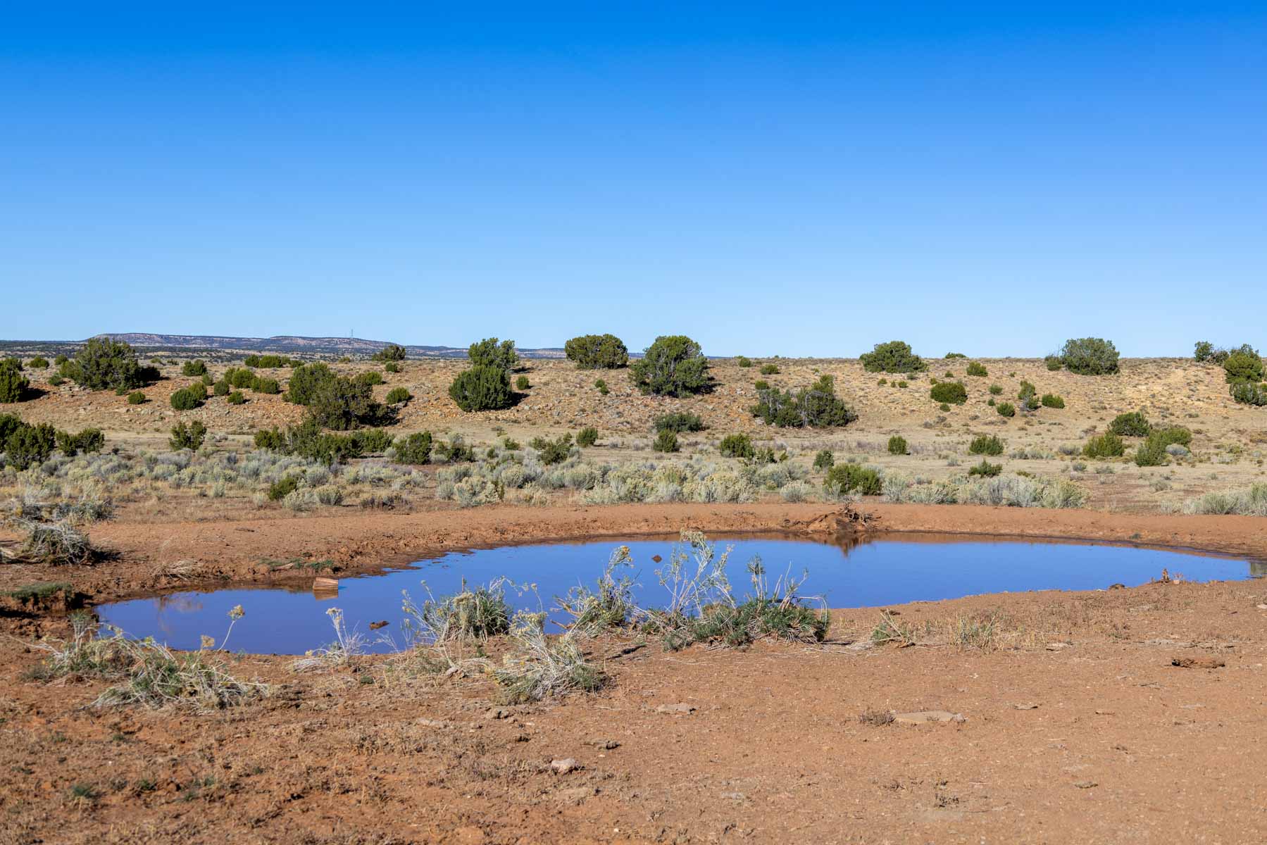 Atarque Ranch property picture 15 of 131
