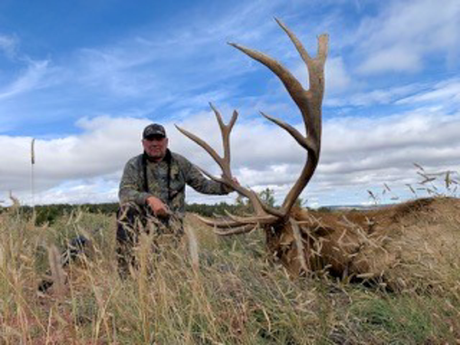 Atarque Ranch property picture 19 of 131