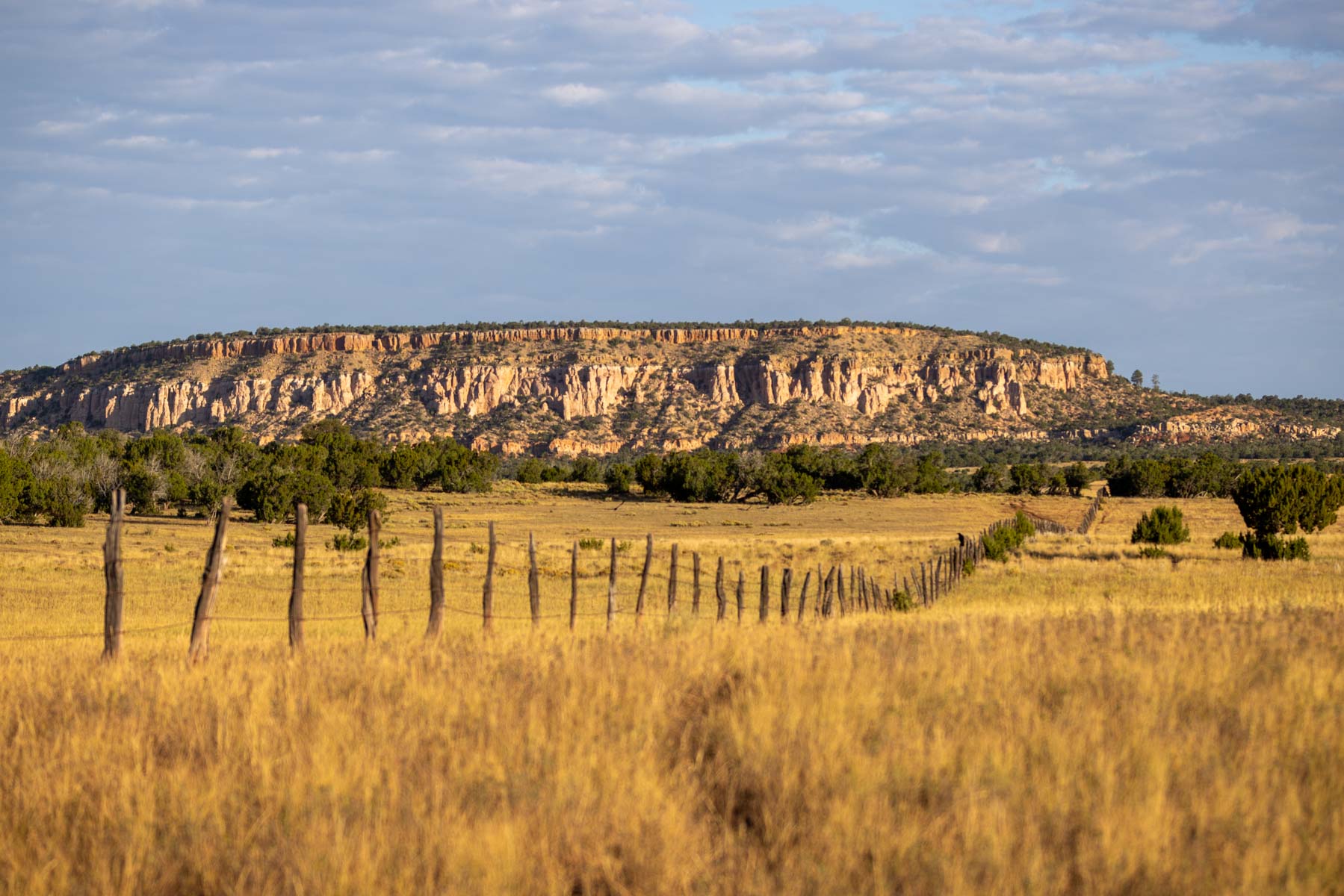 Atarque Ranch property picture 8 of 131