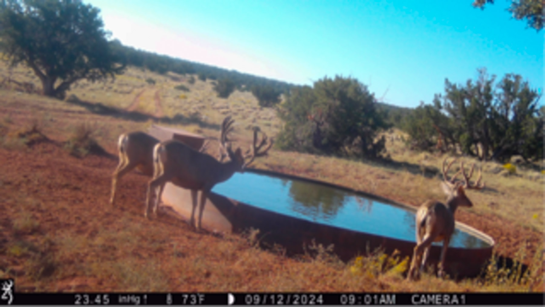 Atarque Ranch property picture 108 of 131