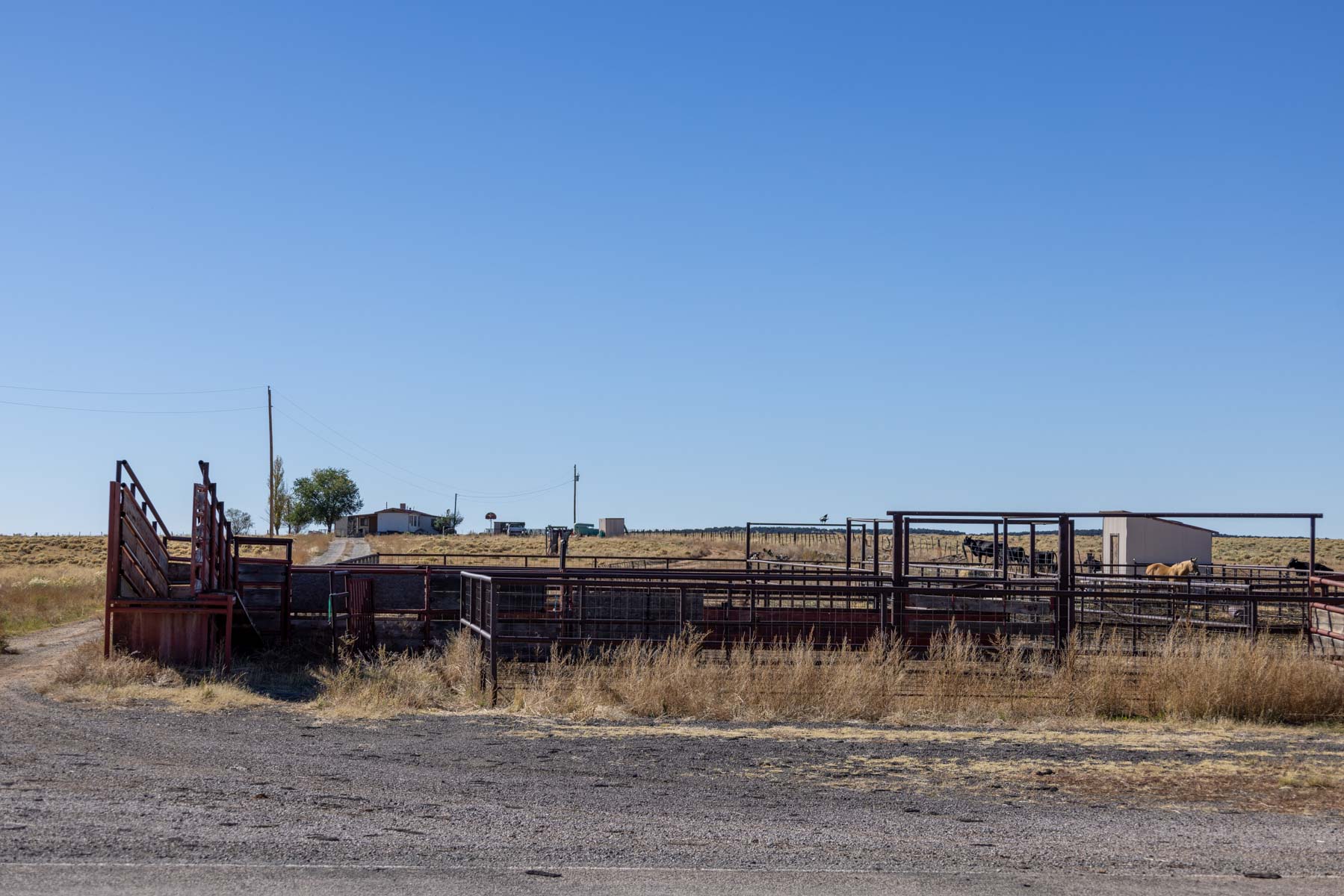 Atarque Ranch property picture 82 of 131