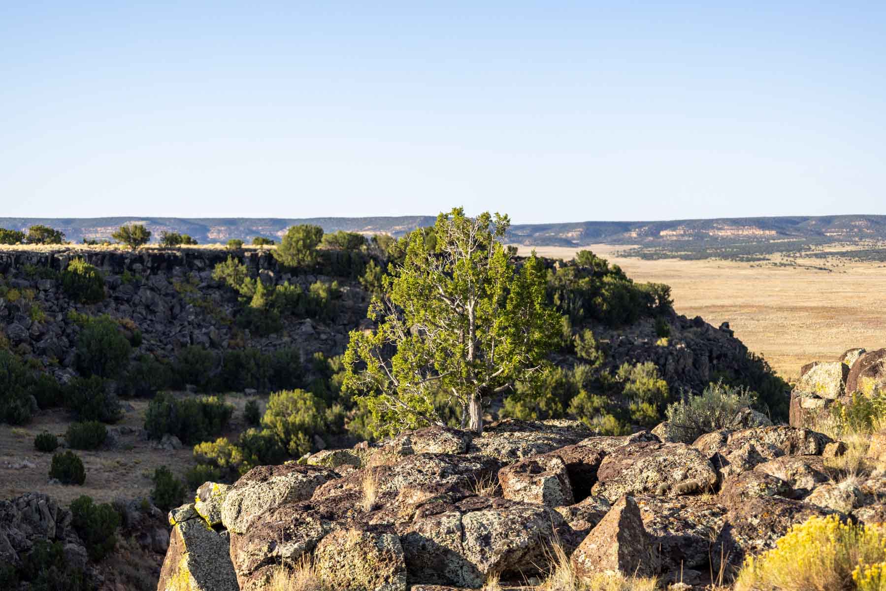 Atarque Ranch property picture 59 of 131