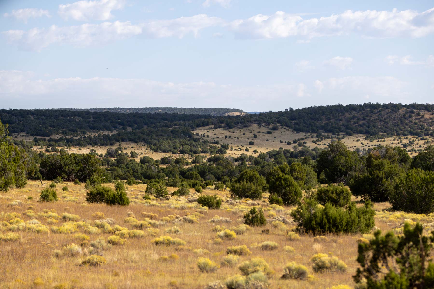 Atarque Ranch property picture 7 of 131
