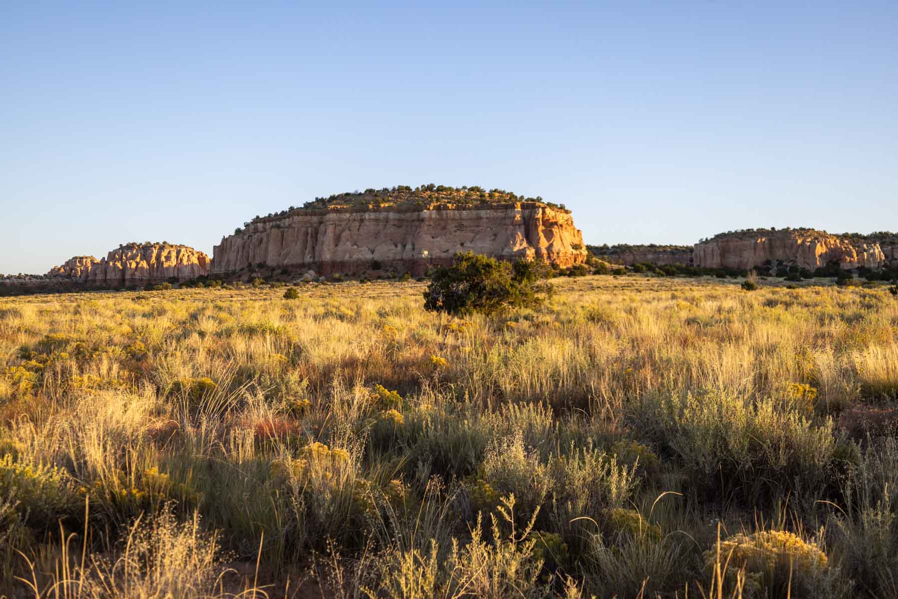 Atarque Ranch property picture 86 of 131